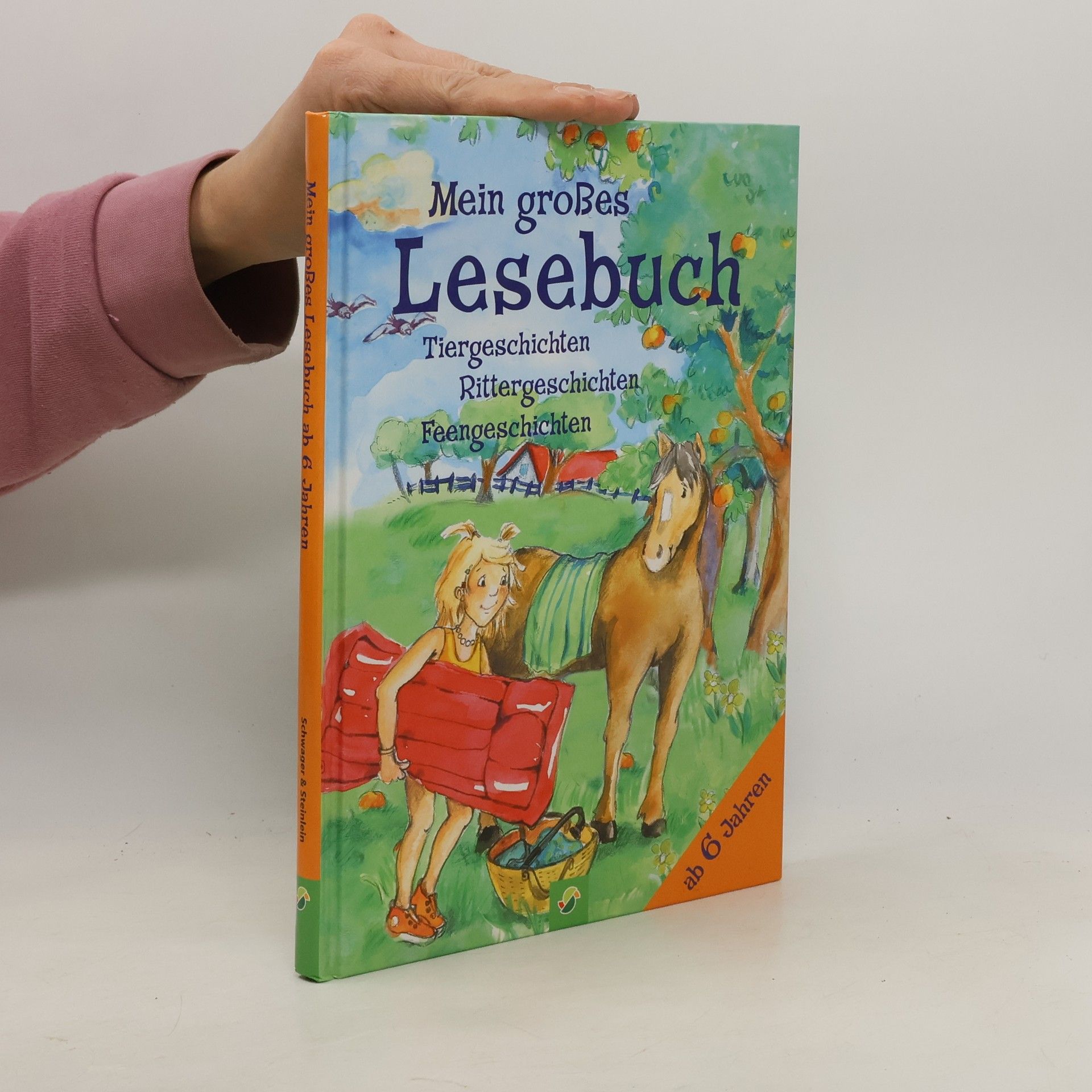 Autorenkollektiv Mein großes Lesebuch. Tiergeschichten. Rittergeschichten. Feengeschichten