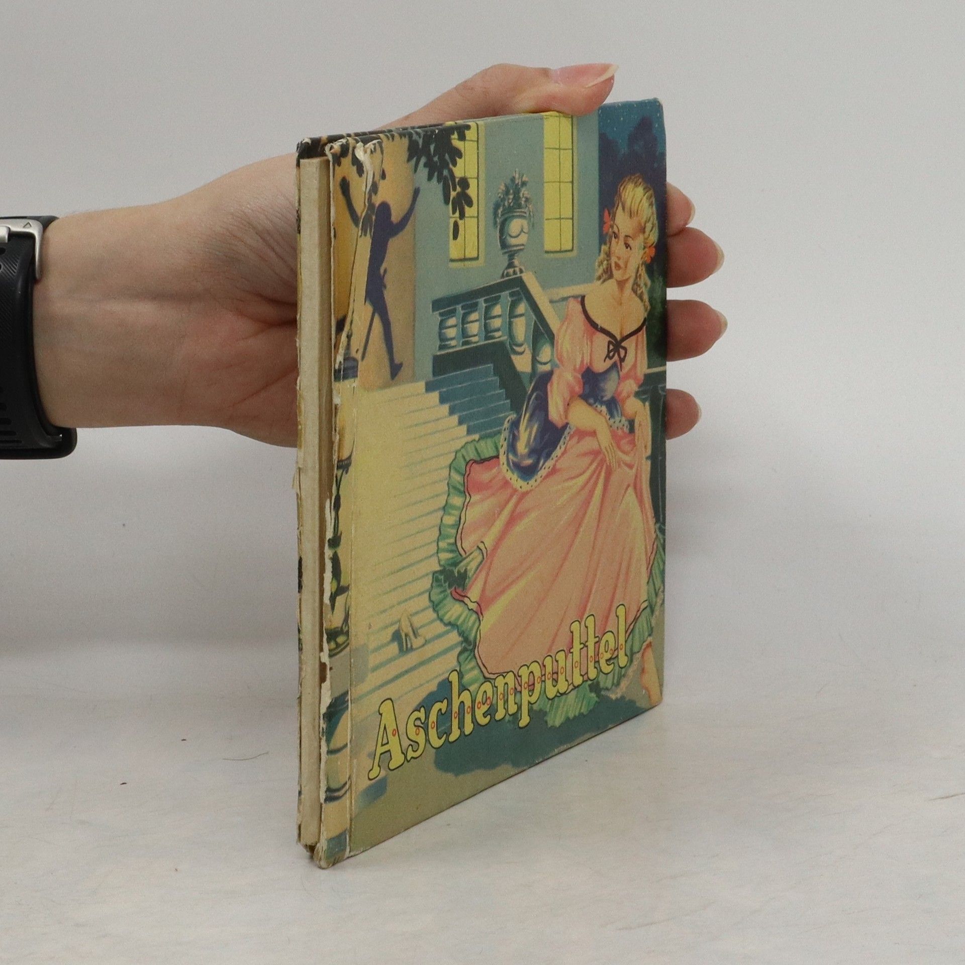 Collectif d'auteurs Aschenputtel