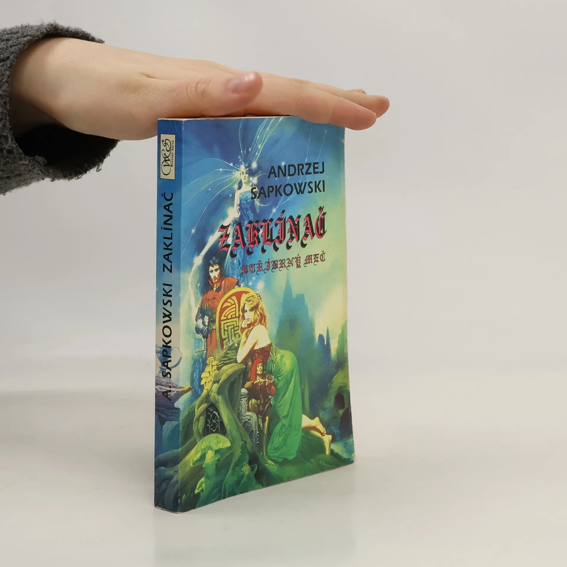 Zaklínač. Stříbrný meč | Kniha | mäkká | Andrzej Sapkowski | CS