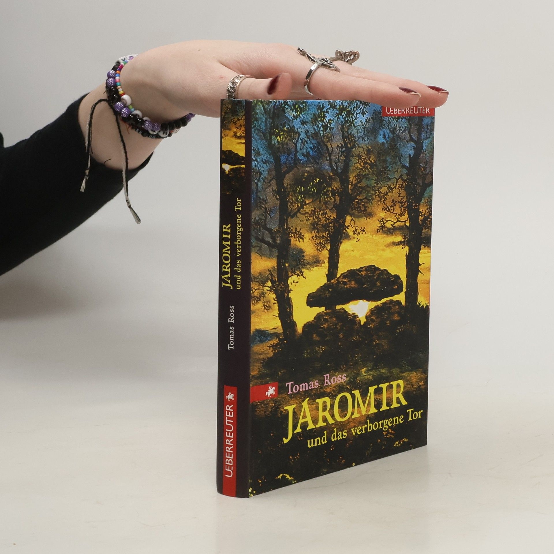 Tomas Ross Jaromir und das verborgene Tor