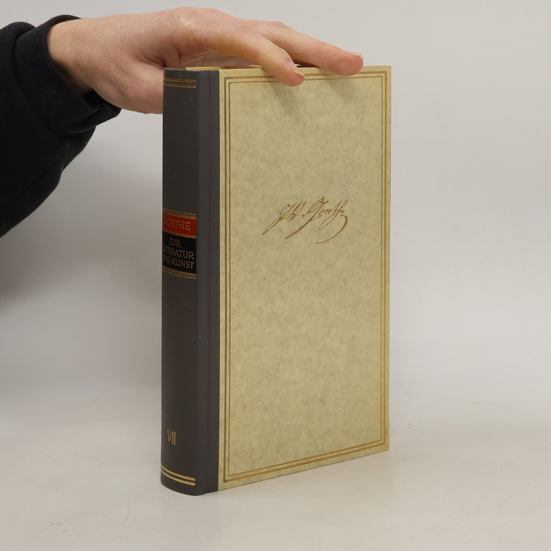 Autorenkollektiv Goethe VII