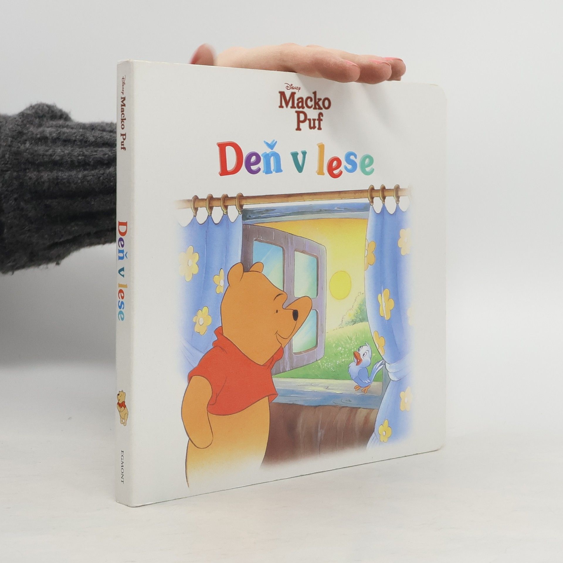 Ángel Rodríguez Macko Puf- Deň v lese