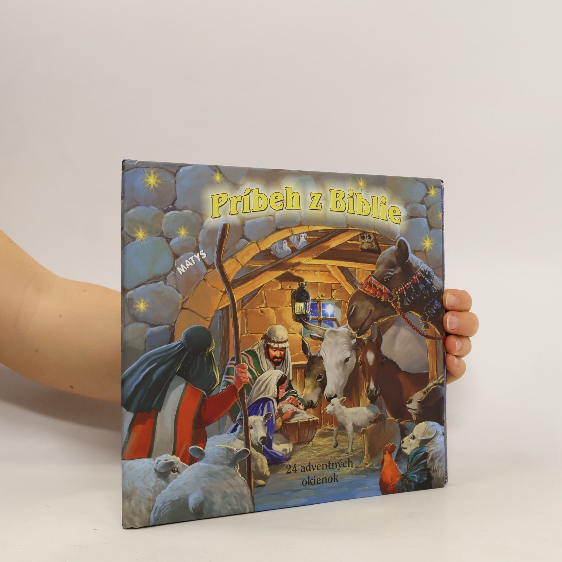 Autorenkollektiv Príbeh z Biblie
