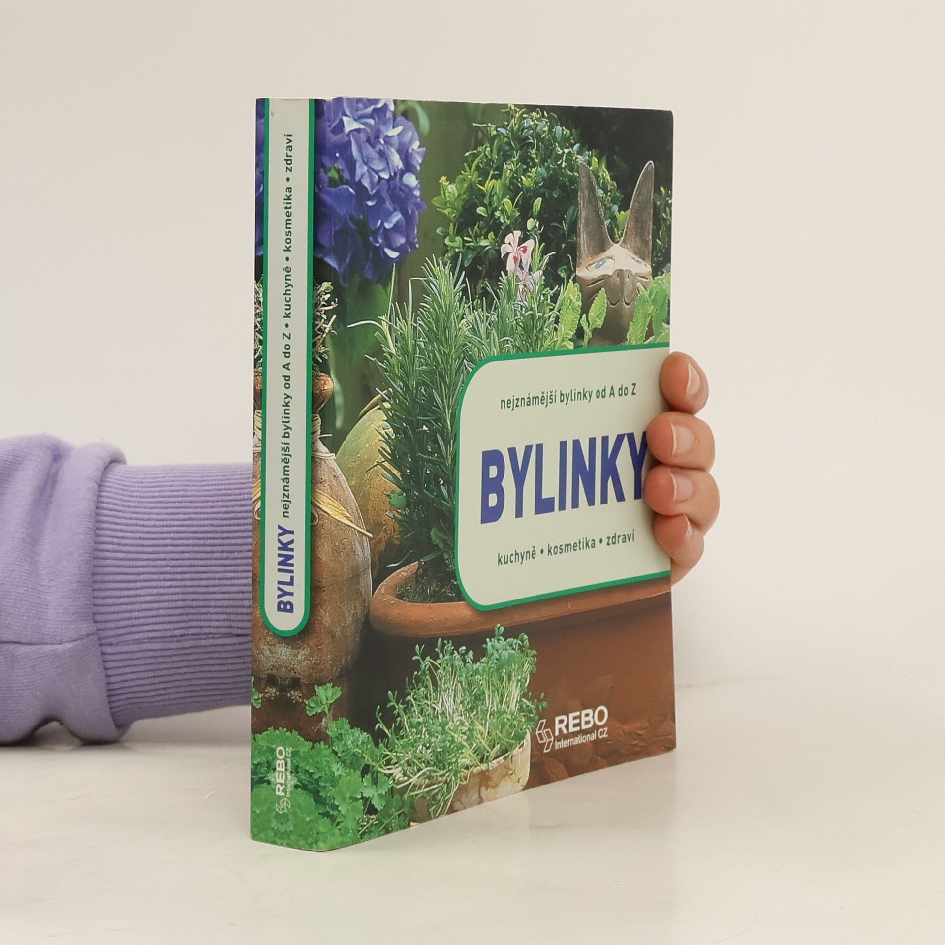 Andrea Rausch Bylinky : nejznámější bylinky od A do Z : kuchyně, kosmetika, zdraví