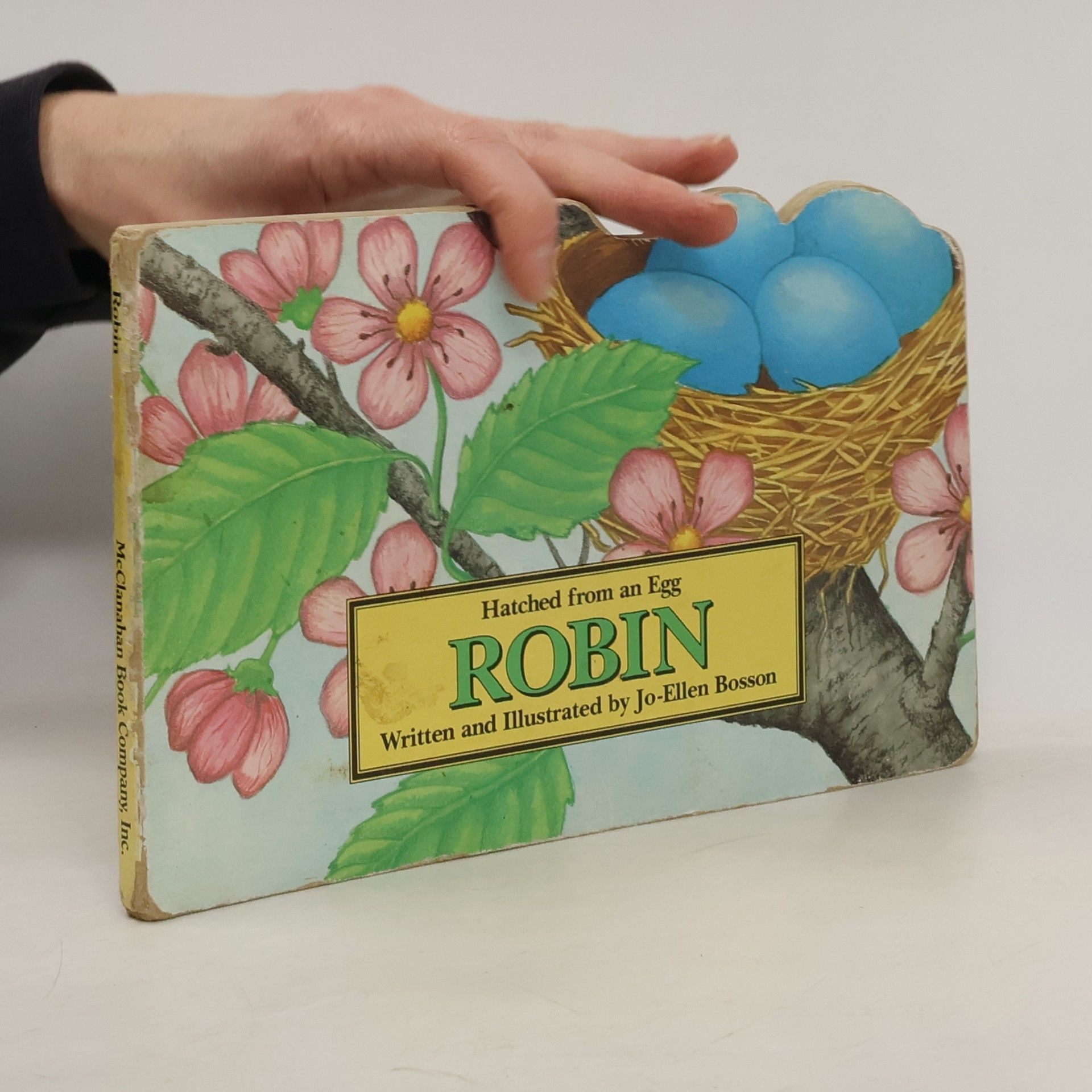 Jo-Ellen Bosson Robin