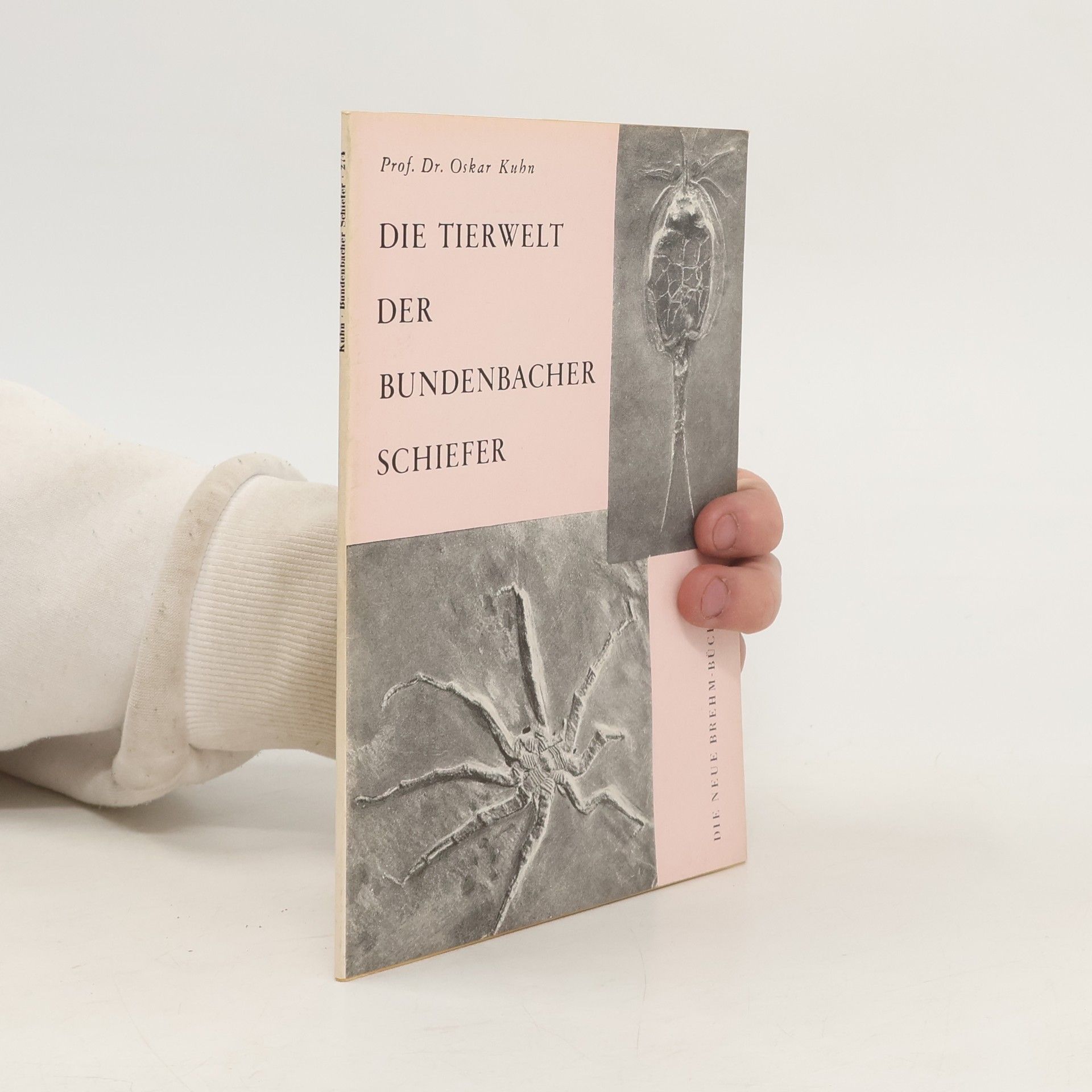 Oskar Kuhn Die Tierwelt der Bundenbacher Schiefer