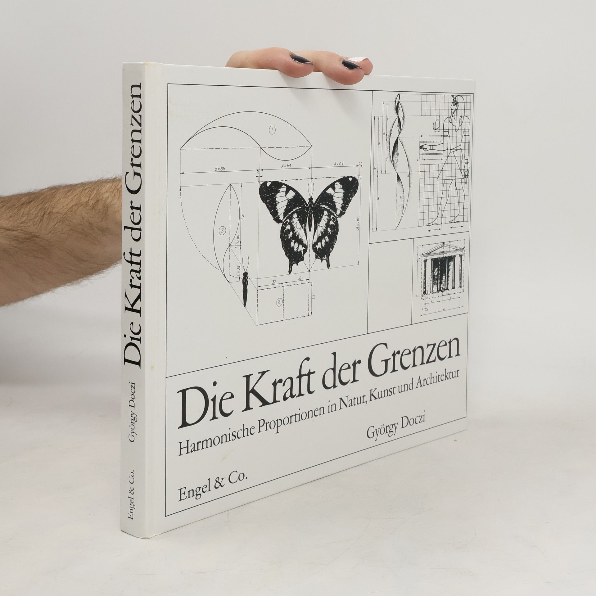 György Doczi Die Kraft der Grenzen