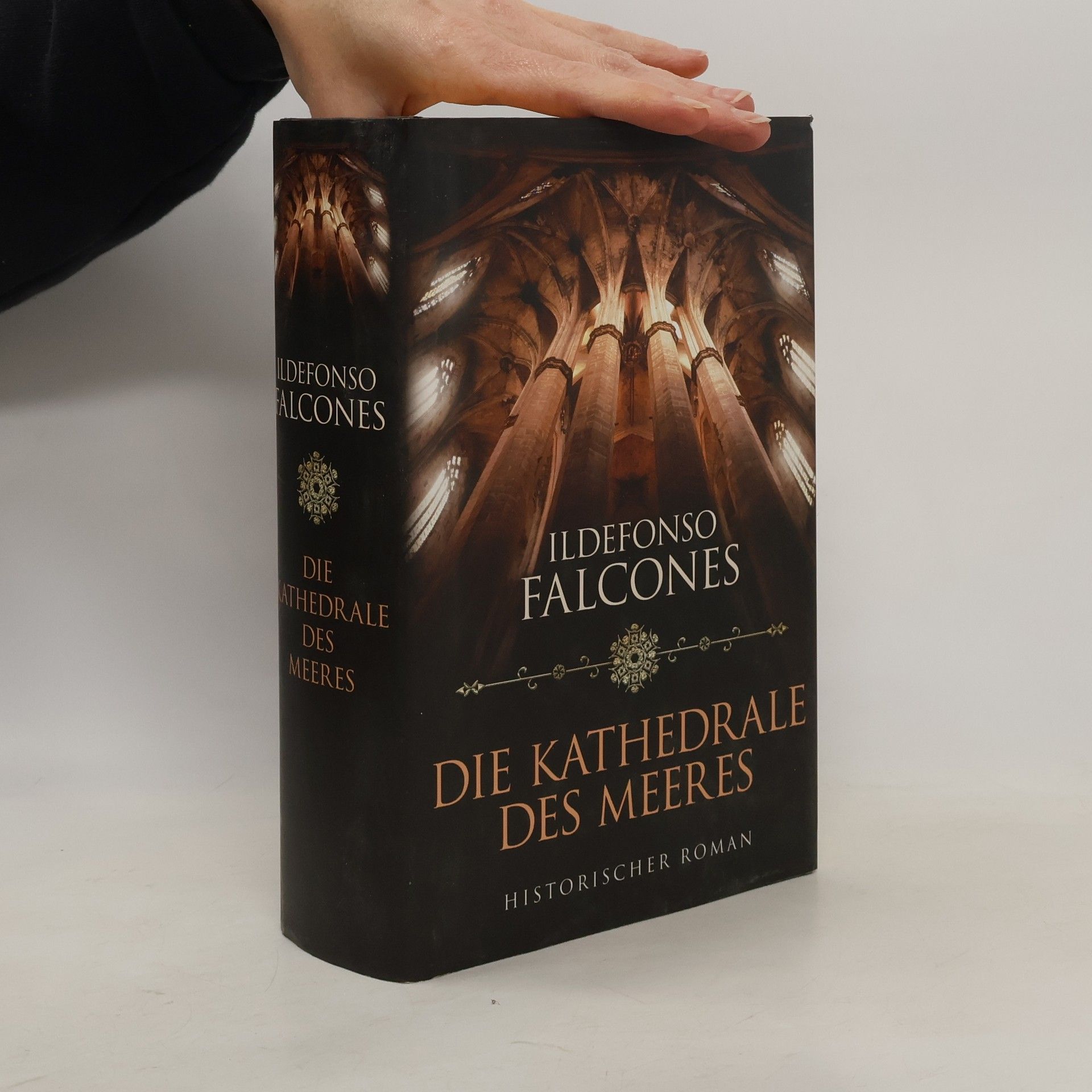 Ildefonso Falcones Die Kathedrale des Meeres