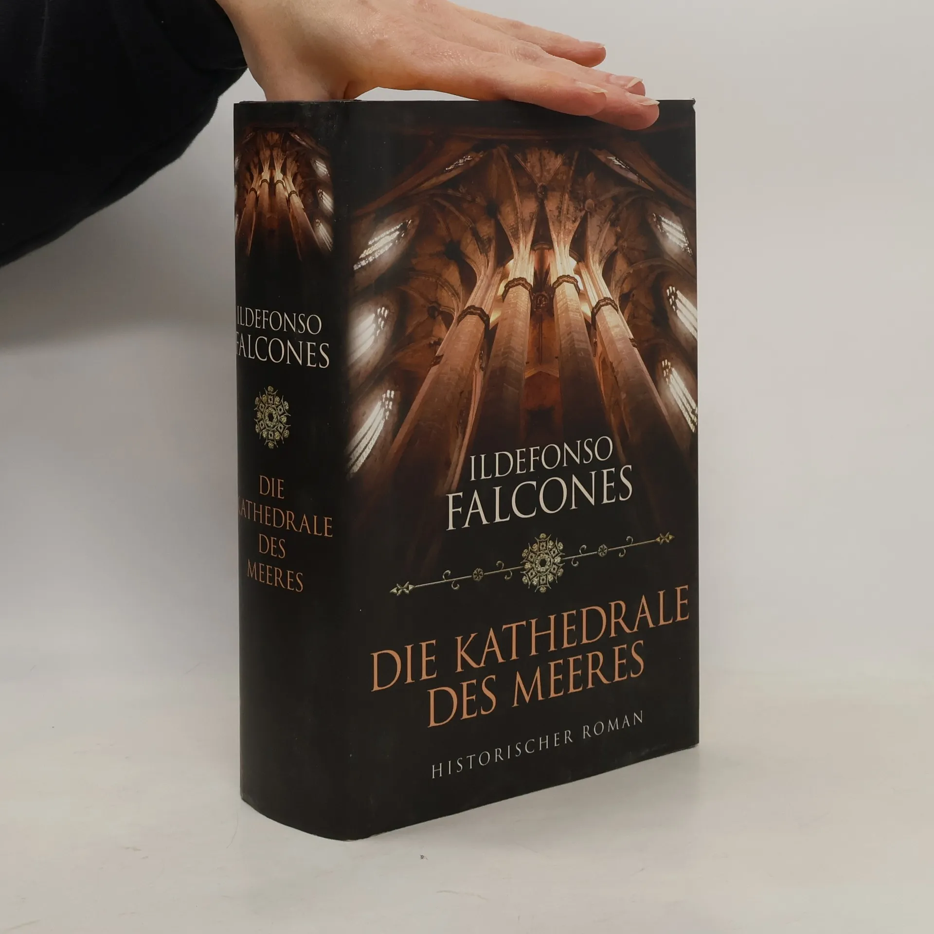 Die Kathedrale des Meeres | Libro | Ildefonso Falcones | DE