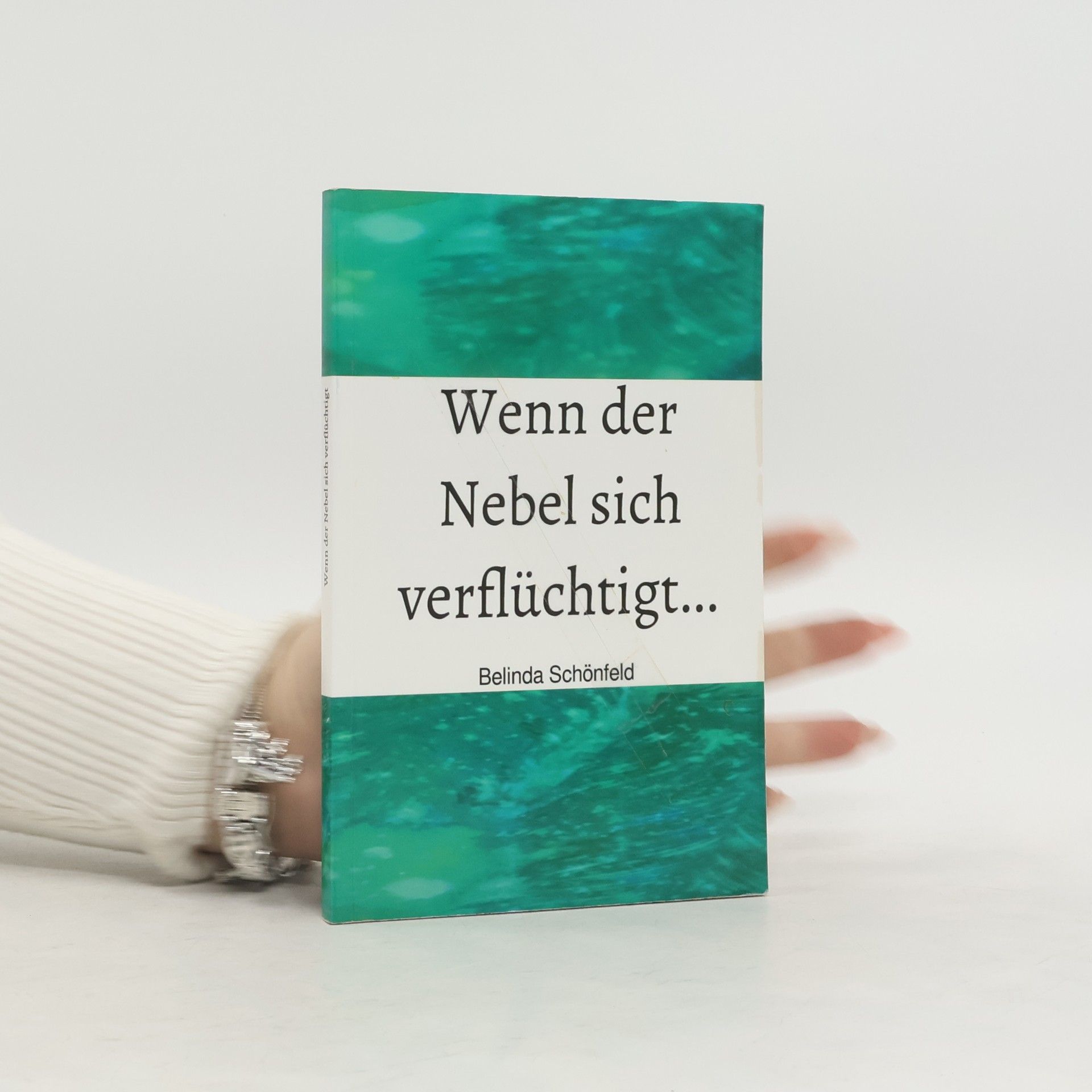 Belinda Schönfeld Wenn der Nebel sich verflüchtigt...