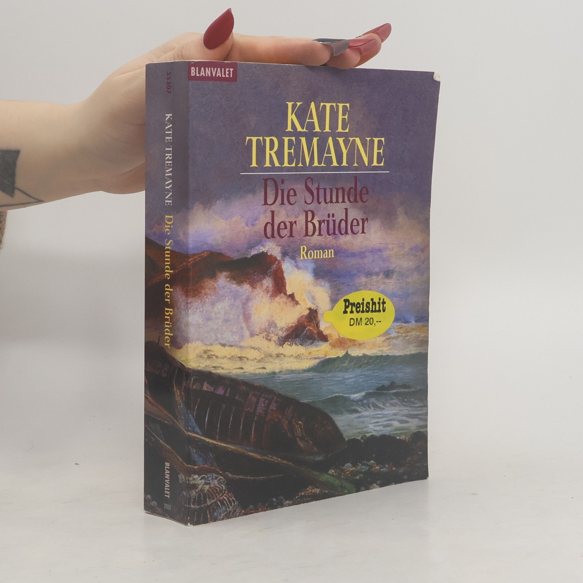 Kate Tremayne Die Stunde der Brüder