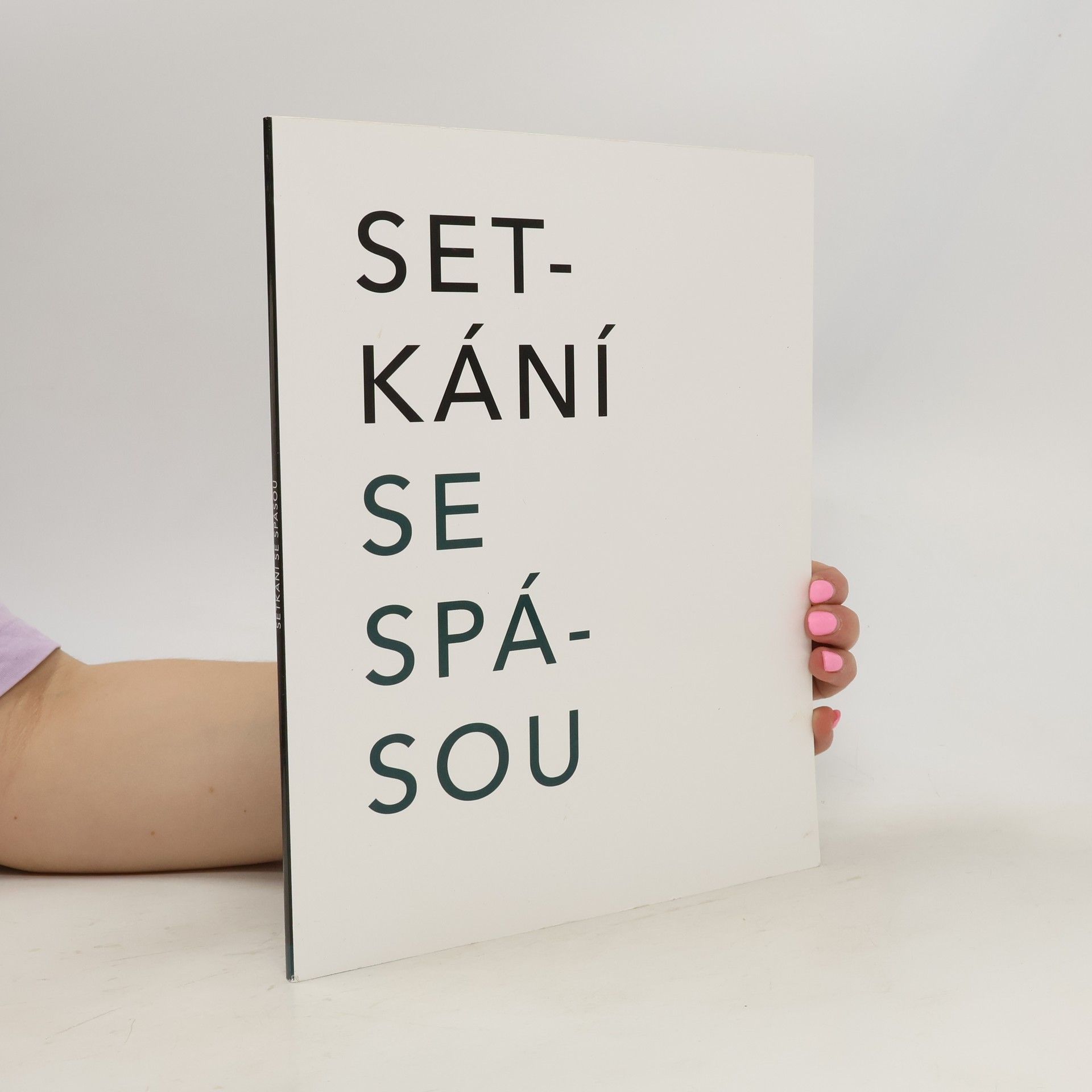 Michal Krchňák Setkání se spásou