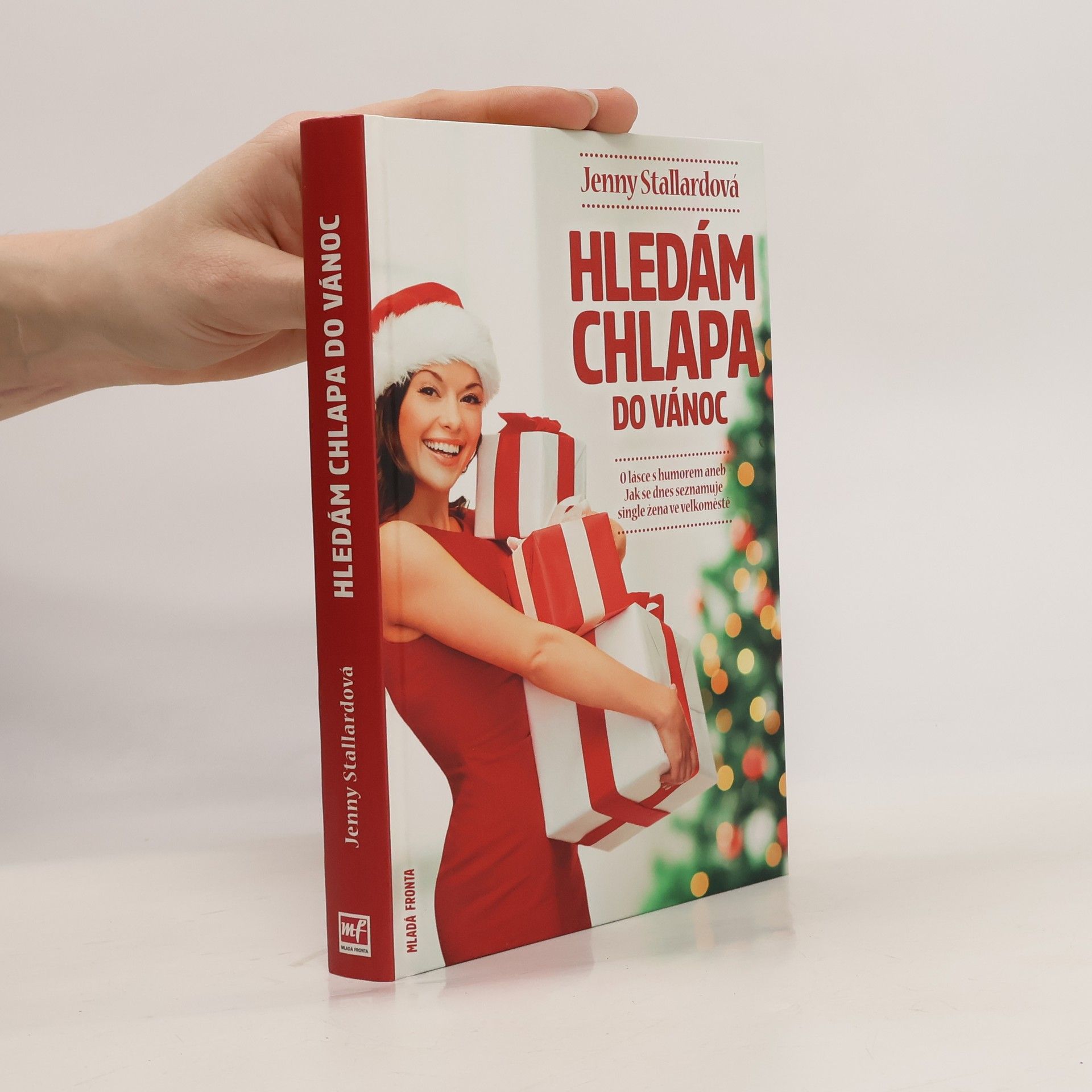 Jenny Stallard Hledám chlapa do Vánoc