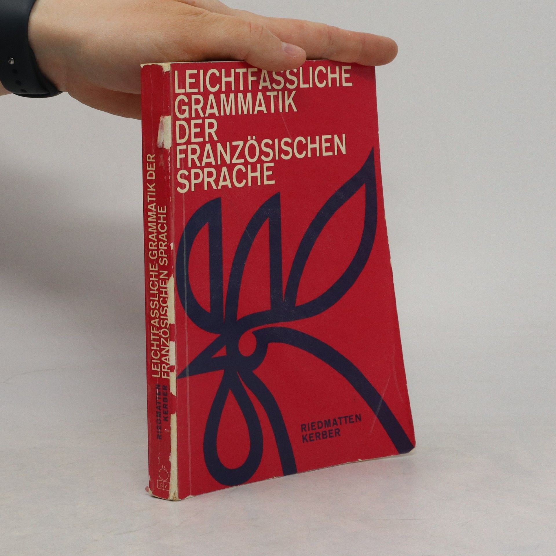 Antoinette de Riedmatten Leichtfassliche Grammatik der französischen Sprache