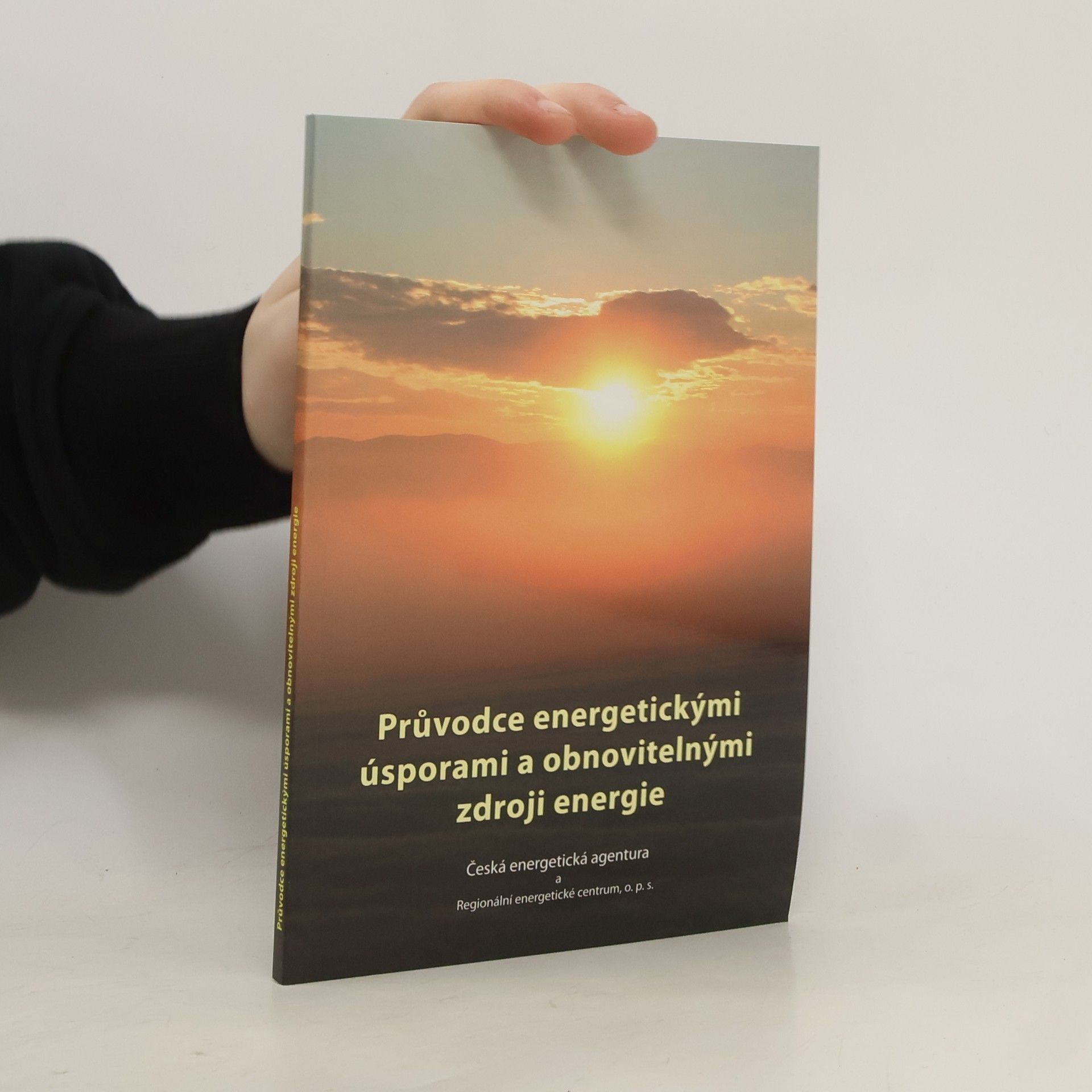 Collectif d'auteurs Průvodce energetickými úsporami a obnovitelnými zdroji energie