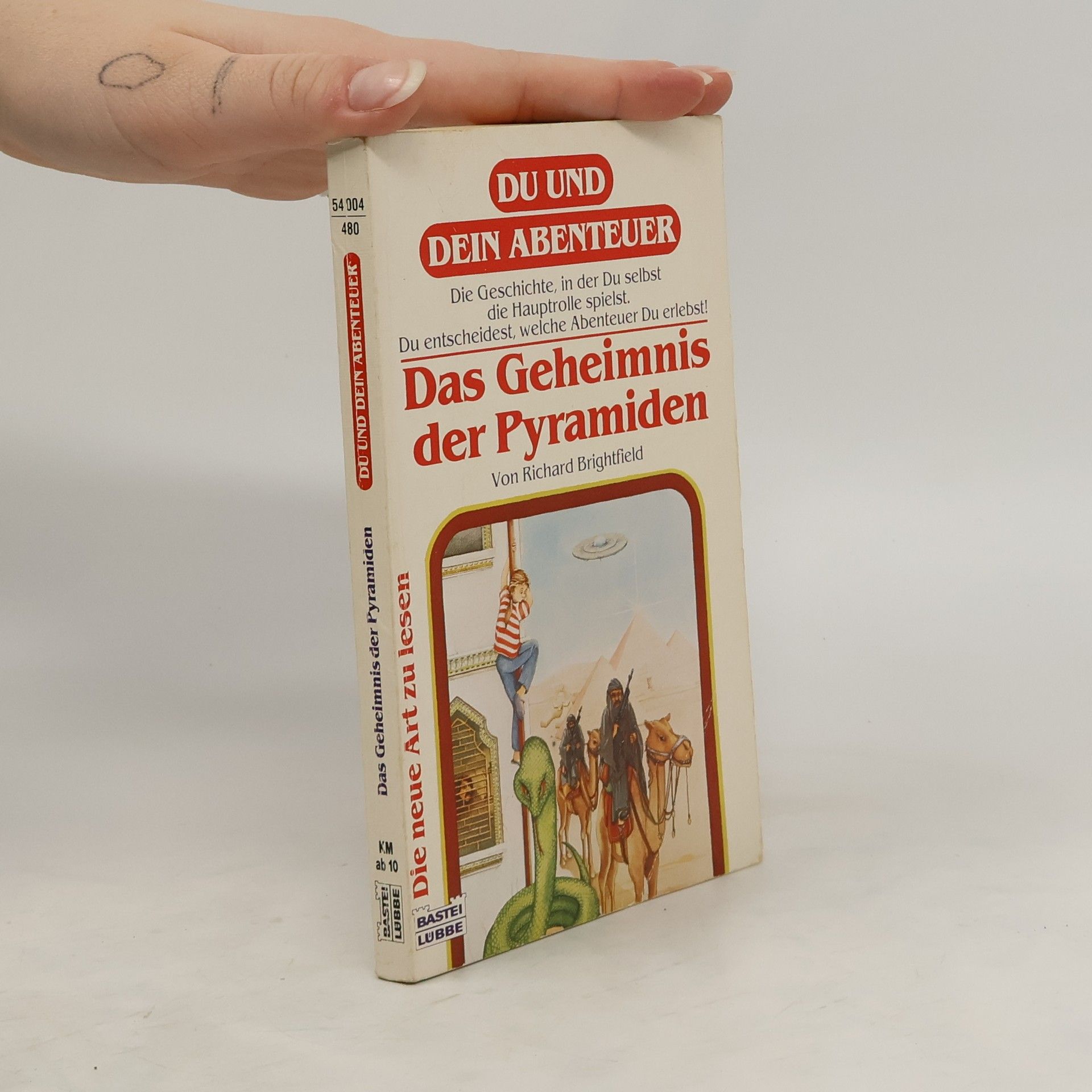 Richard Brightfield Das Geheimnis der Pyramiden