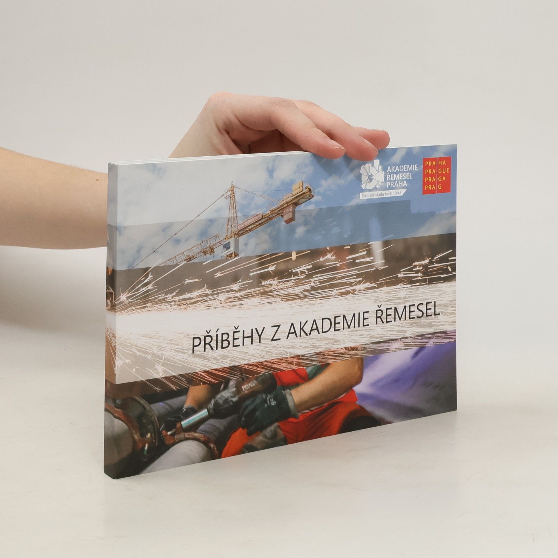 Kolektiv autorů Příběhy z akademie řemesel