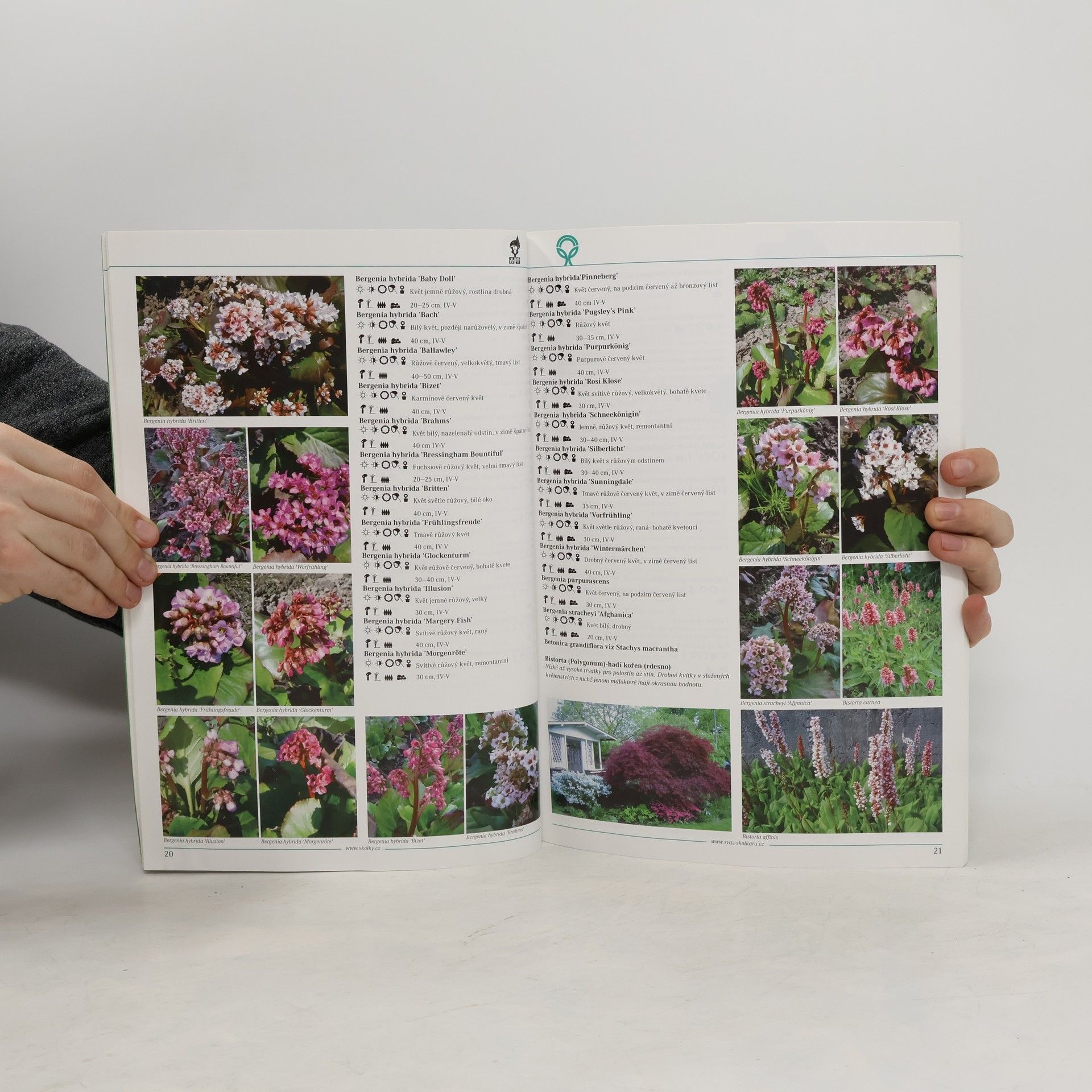 Autores varios Katalog trvalek