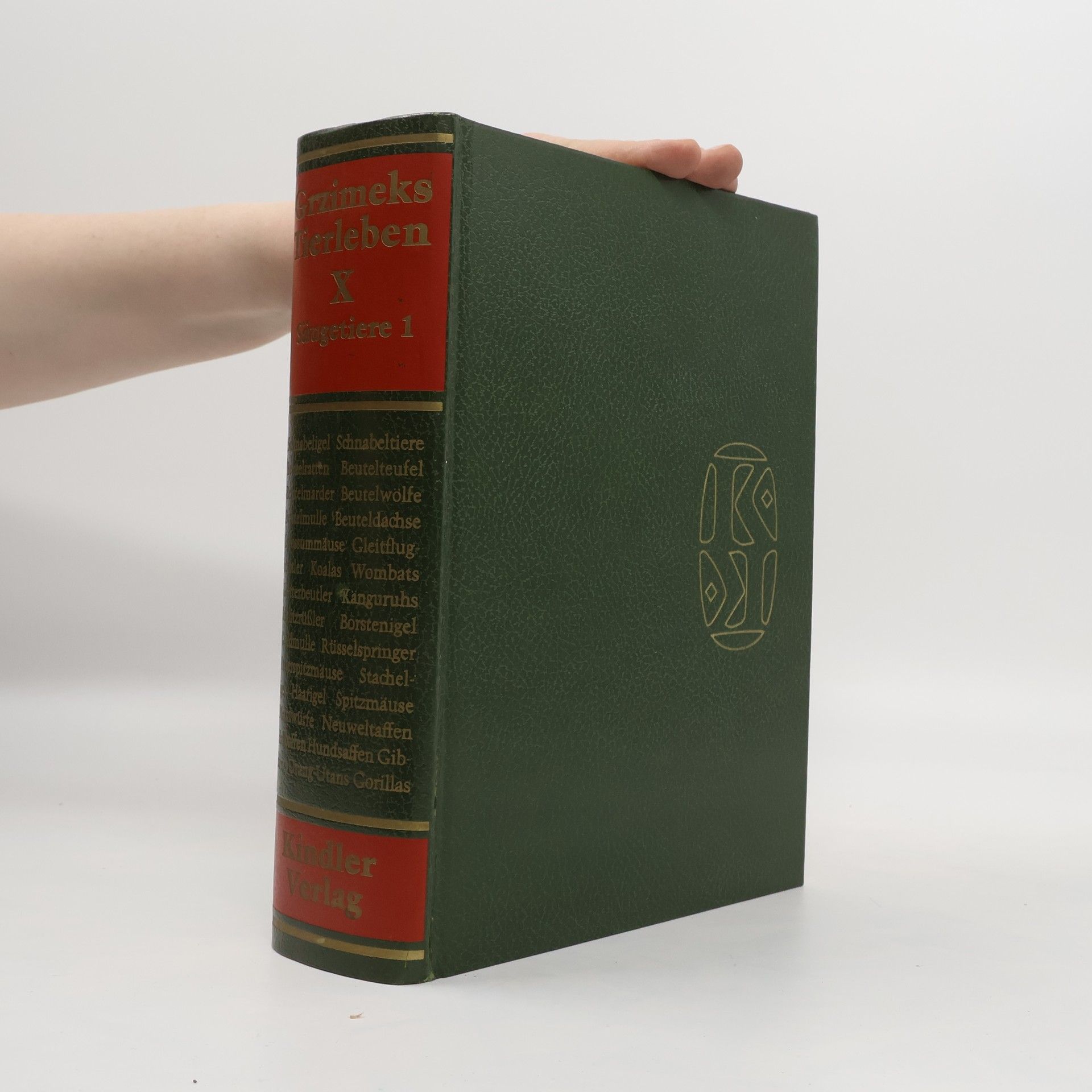 Autorenkollektiv Grzimeks Tierleben X. Säugetiere 1