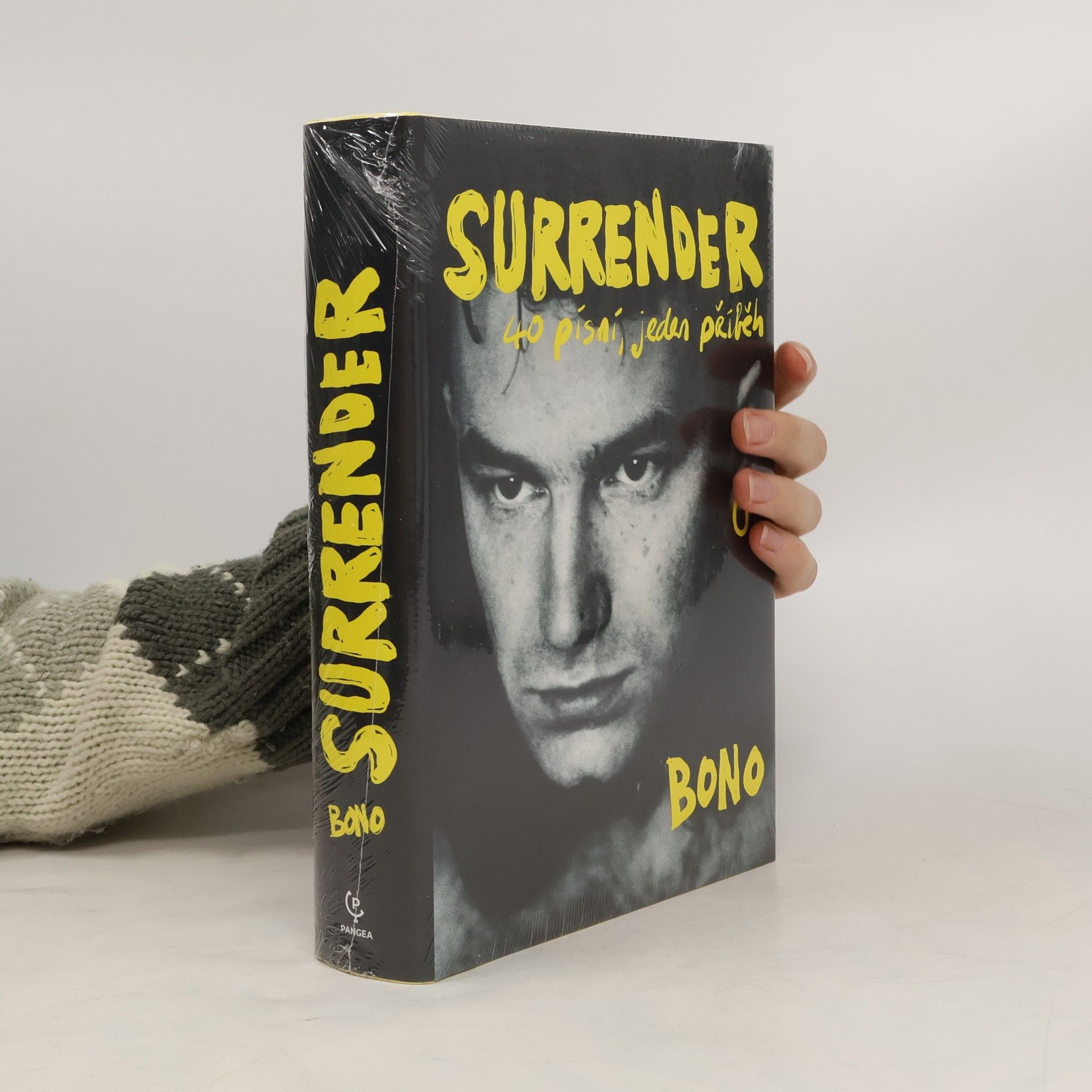 Bono Surrender : 40 písní, jeden příběh