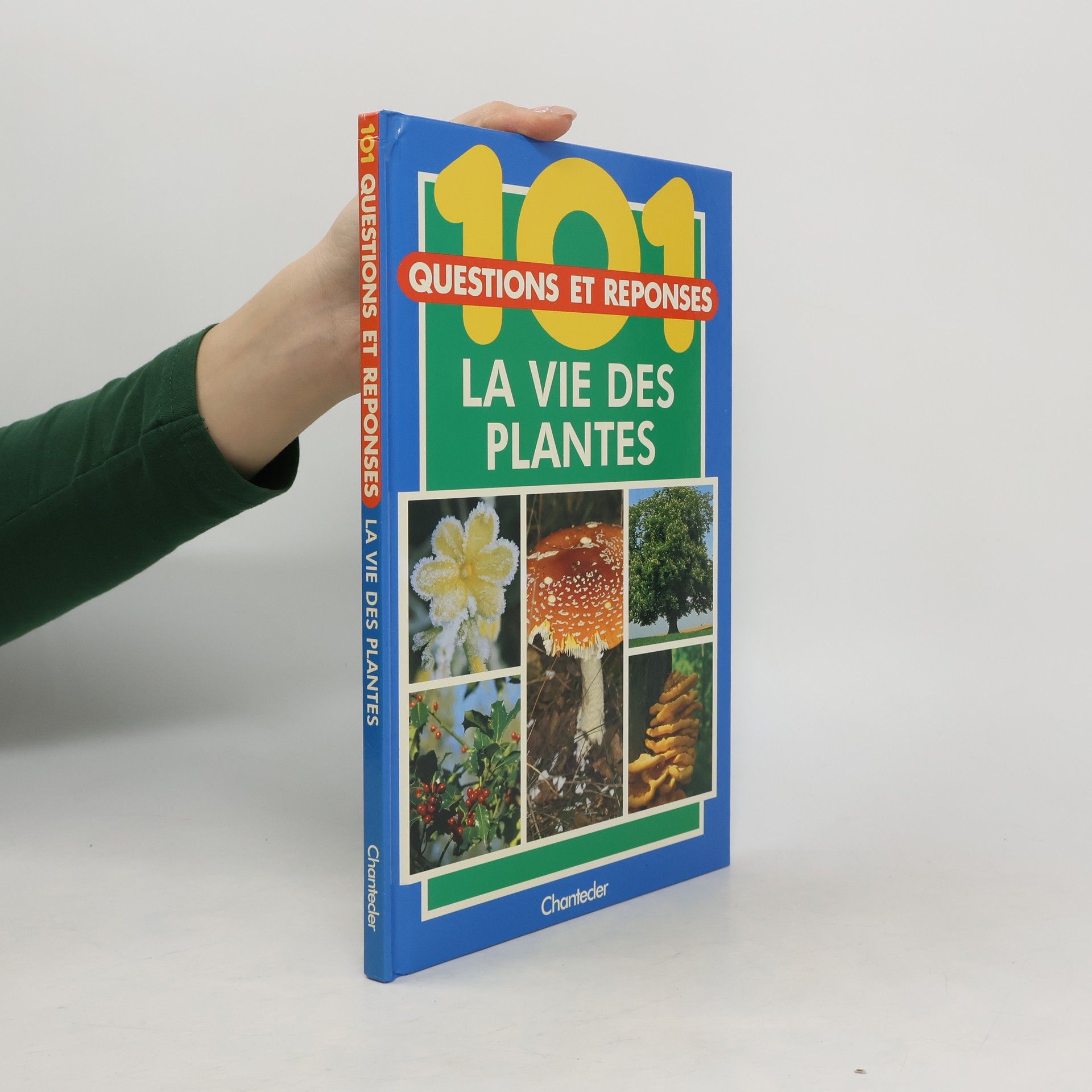 Collectif d'auteurs 101 questions et reponses