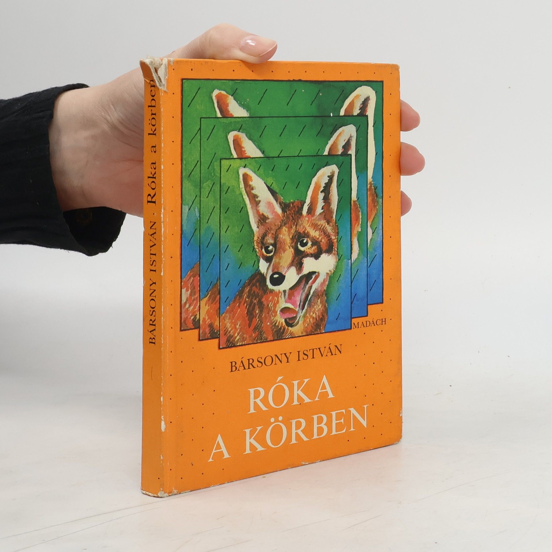 István Bársony Róka a körben