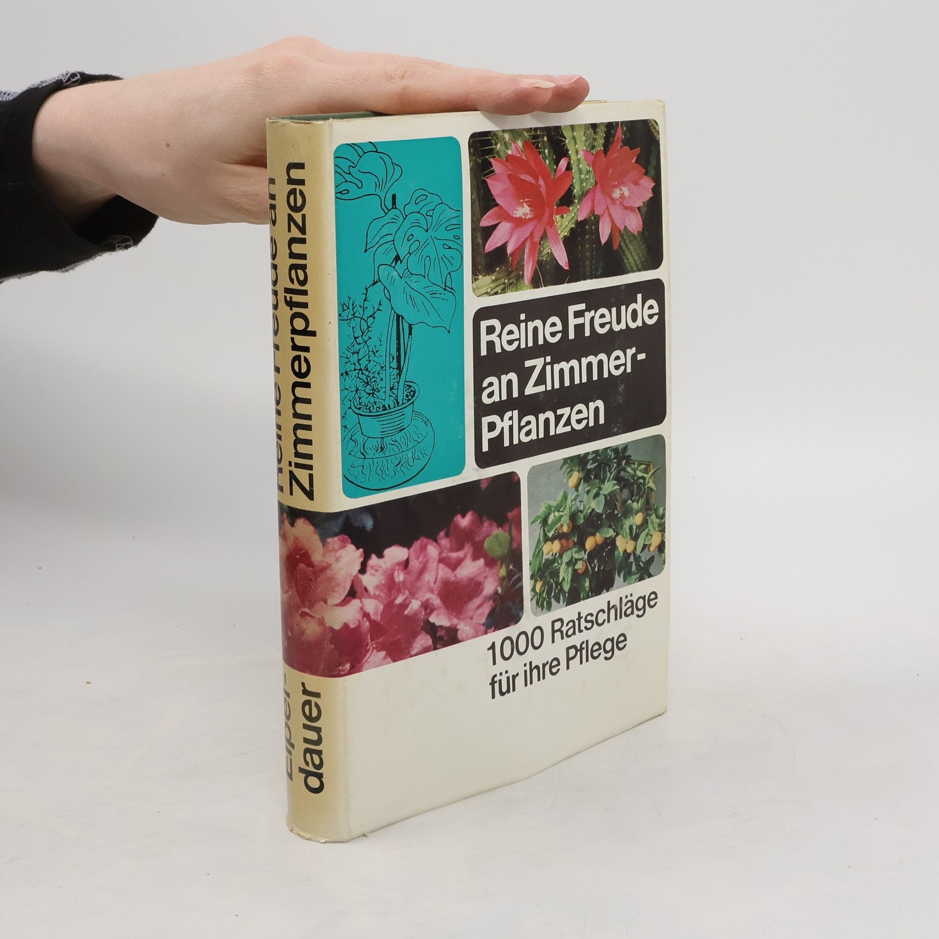 Collectif d'auteurs Reine Freude an Zimmerpflanzen