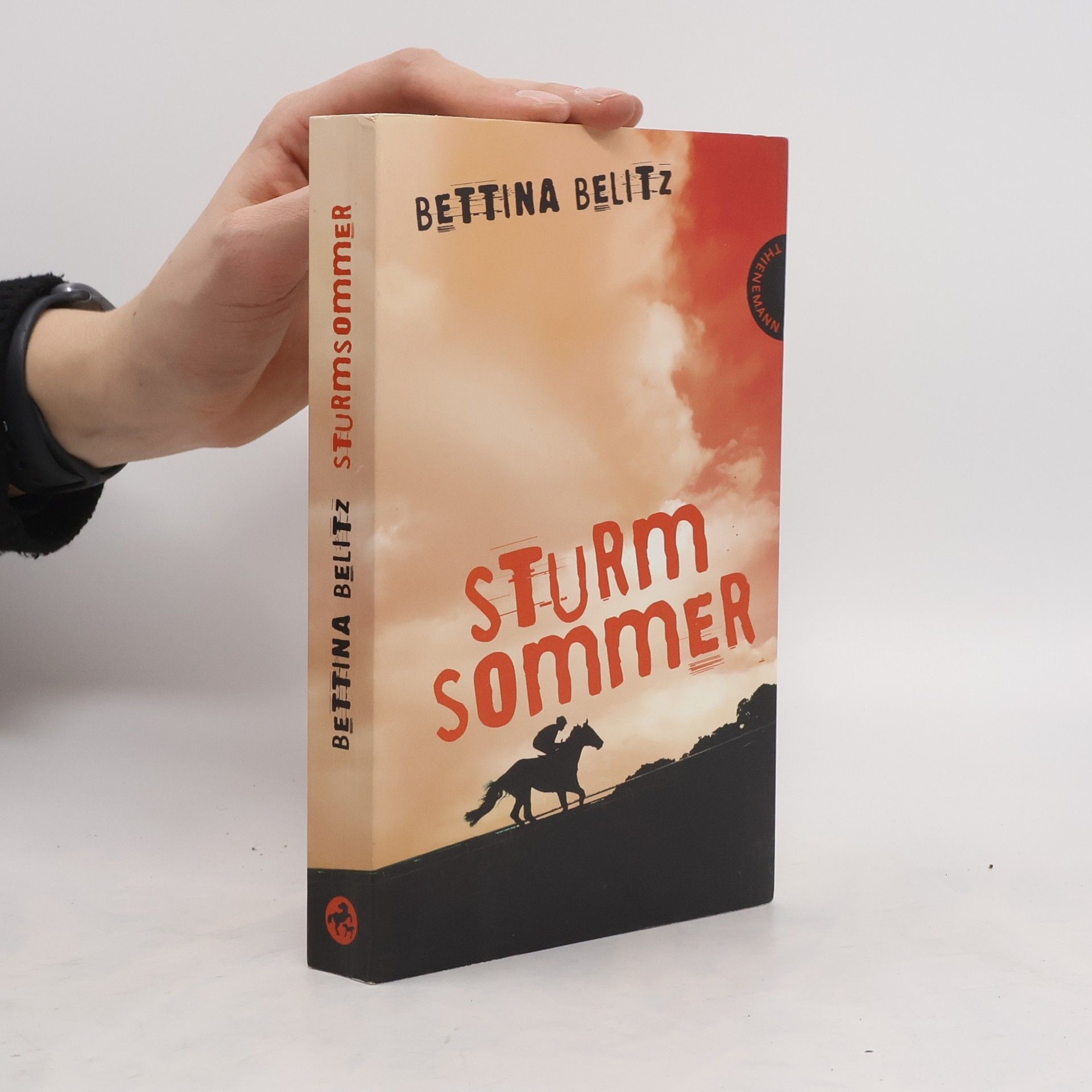 Bettina Belitz Sturmsommer