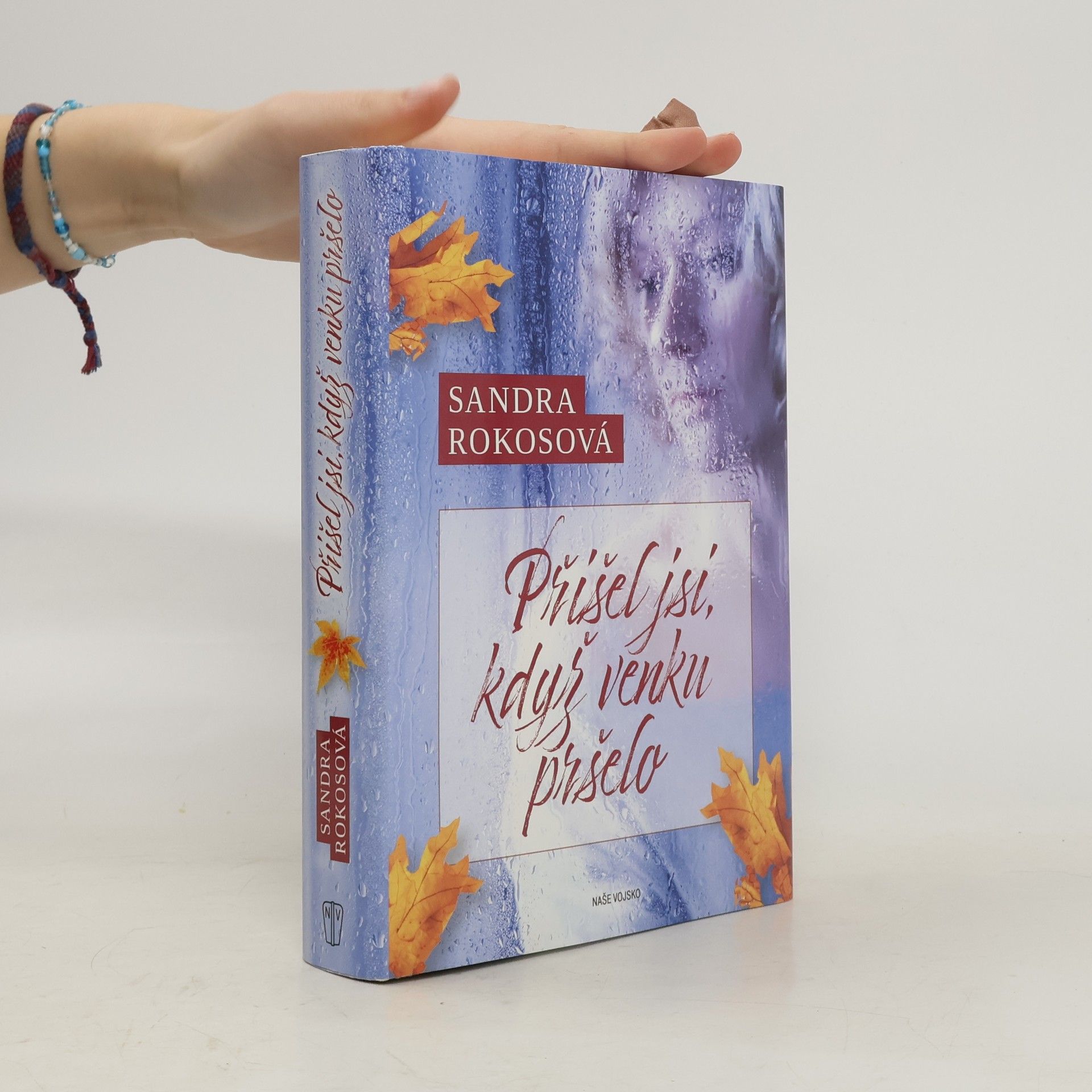 Sandra Rokosová Přišel jsi, když venku pršelo