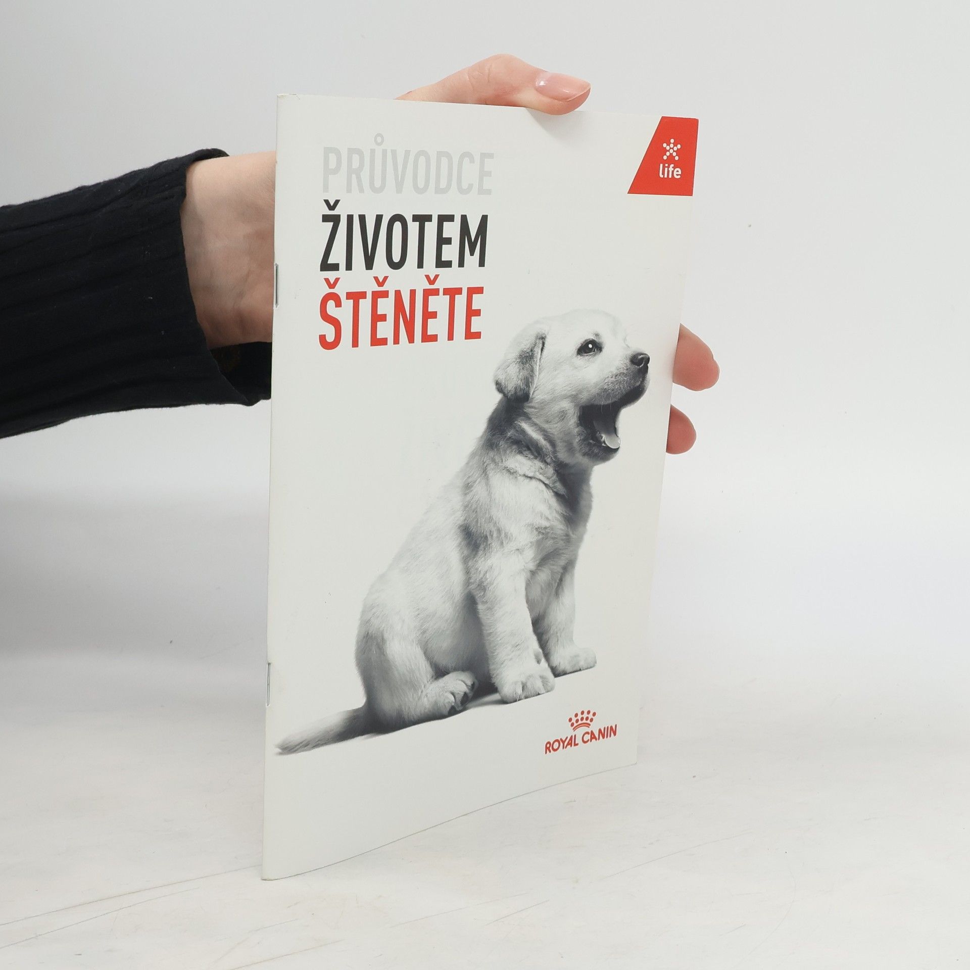 Auteurscollectief Průvodce životem štěněte