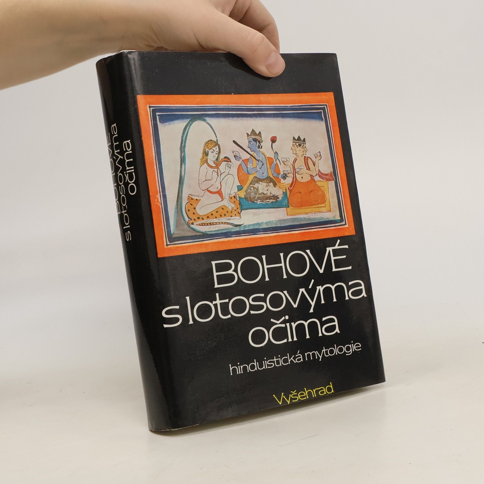kolektiv Bohové s lotosovýma očima. Hinduistická mytologie