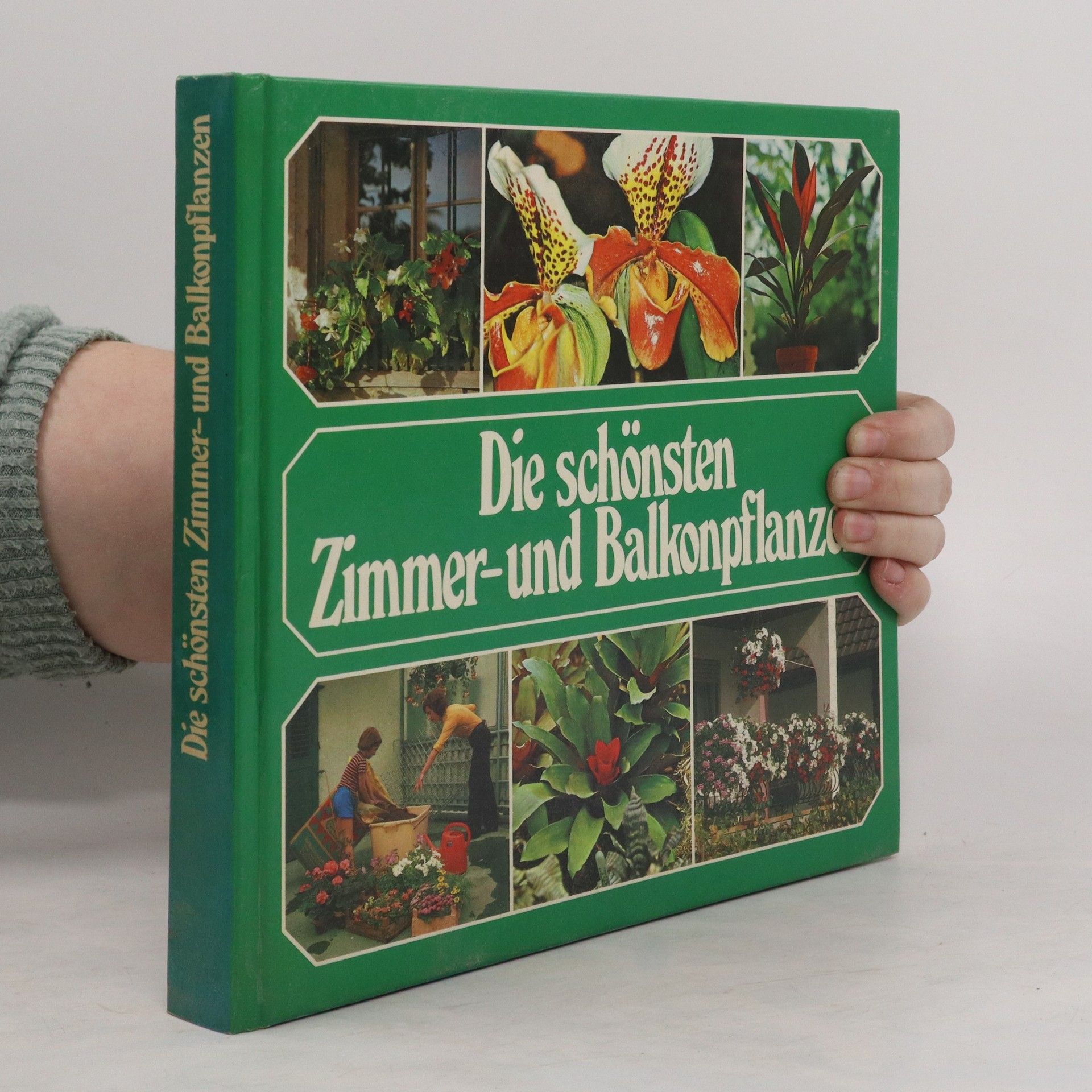 Die schönsten Zimmer-und Balkonpflanzen