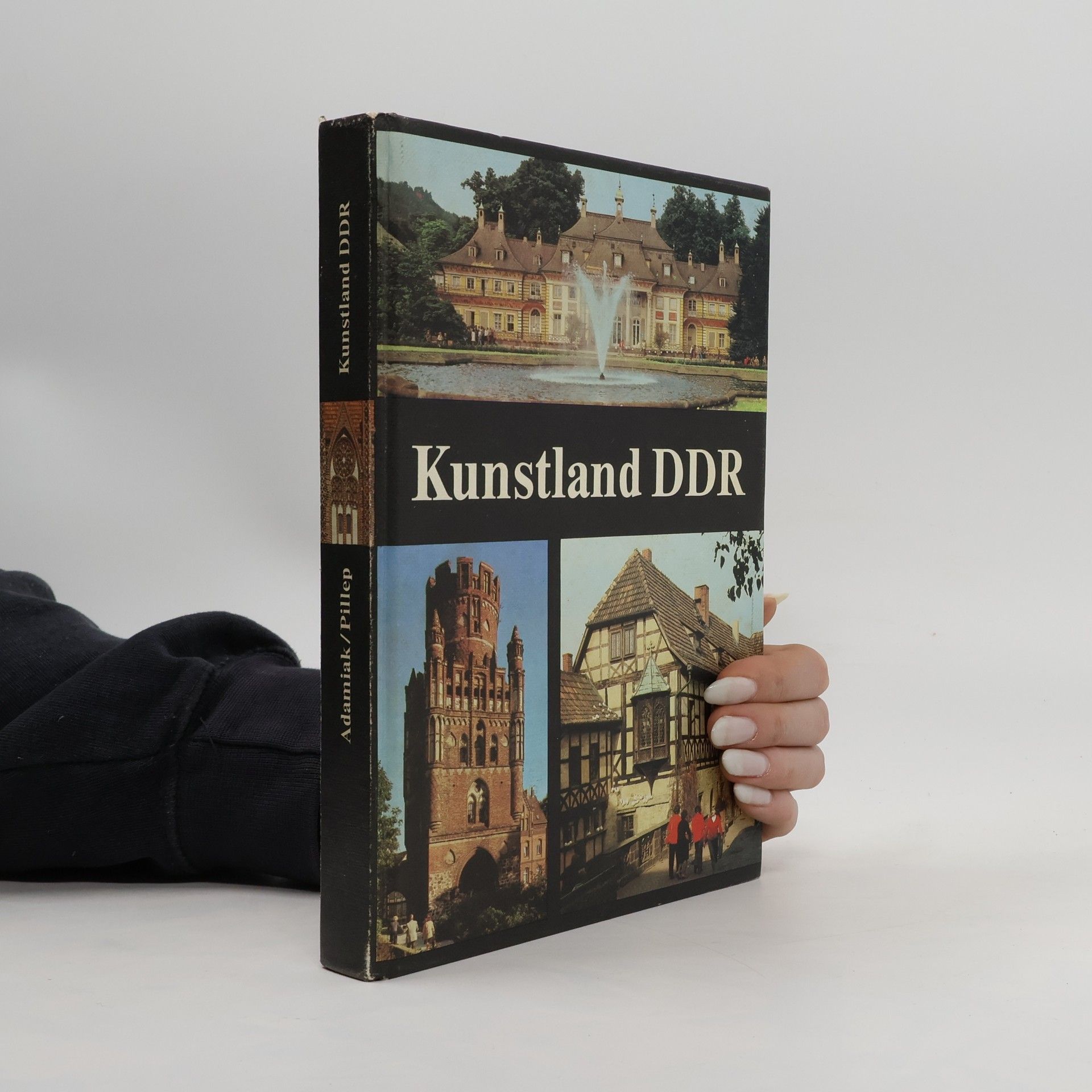 Autores varios Kunstland DDR