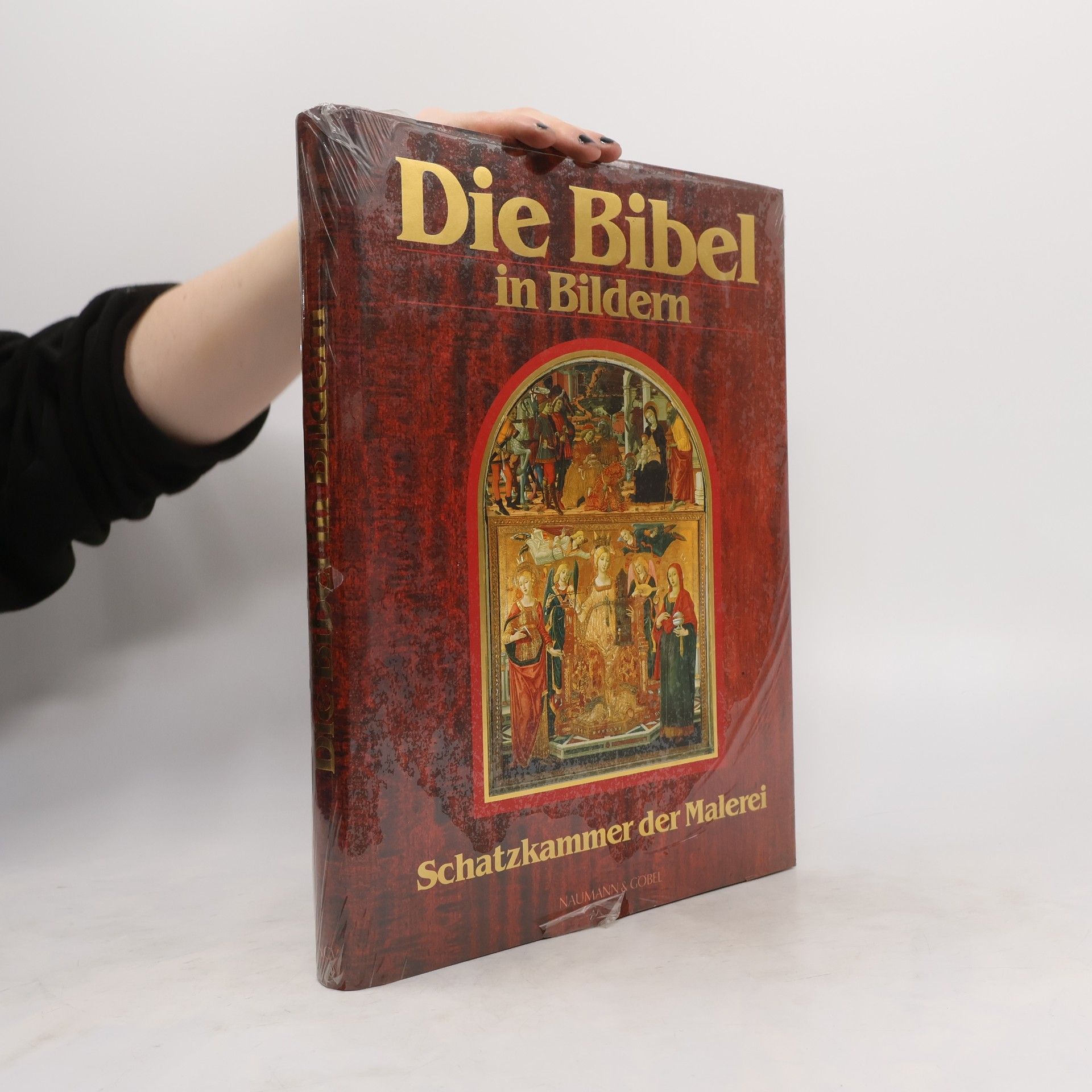 Autorenkollektiv Die Bibel im Bildern