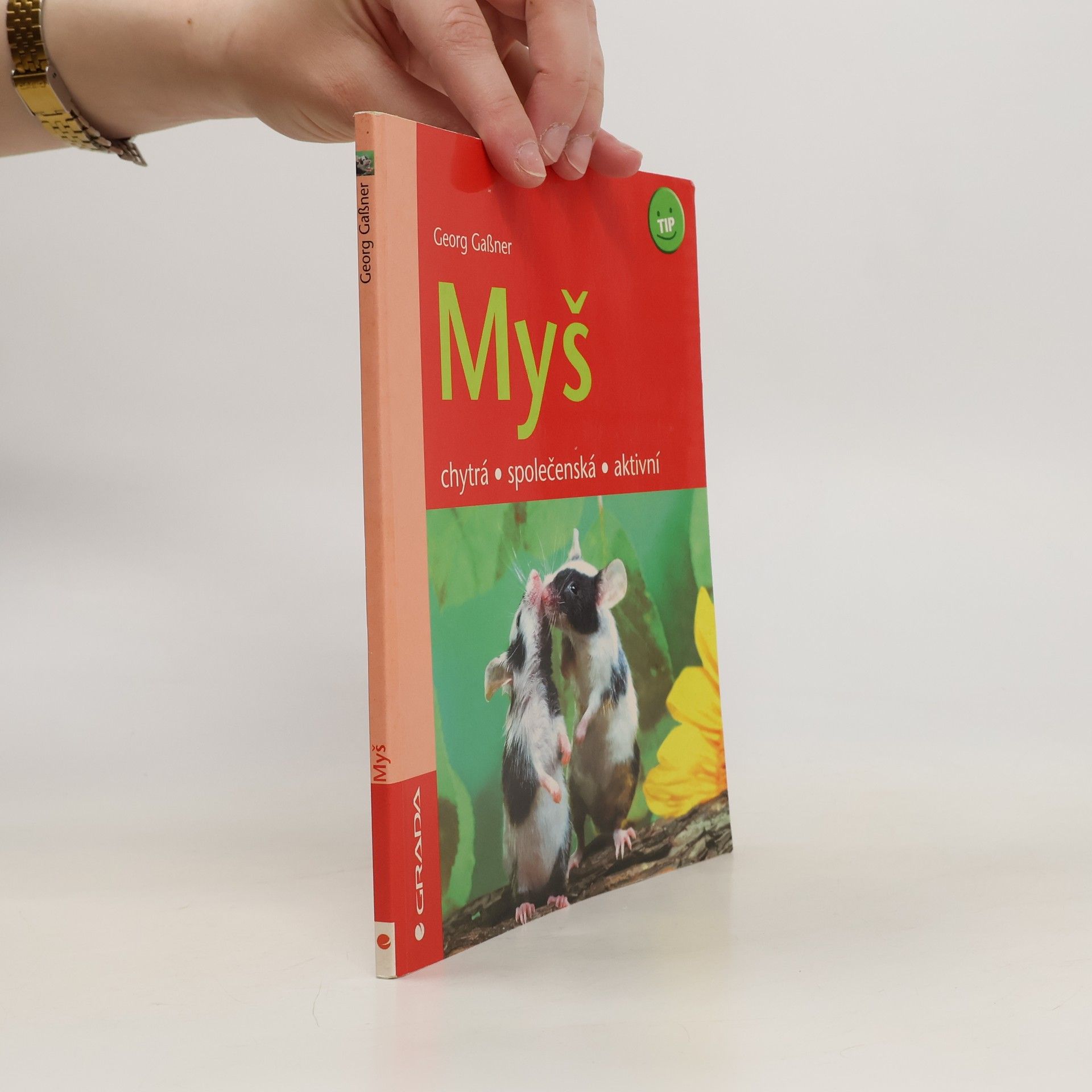 Georg Gaßner Myš : chytrá, společenská, aktivní