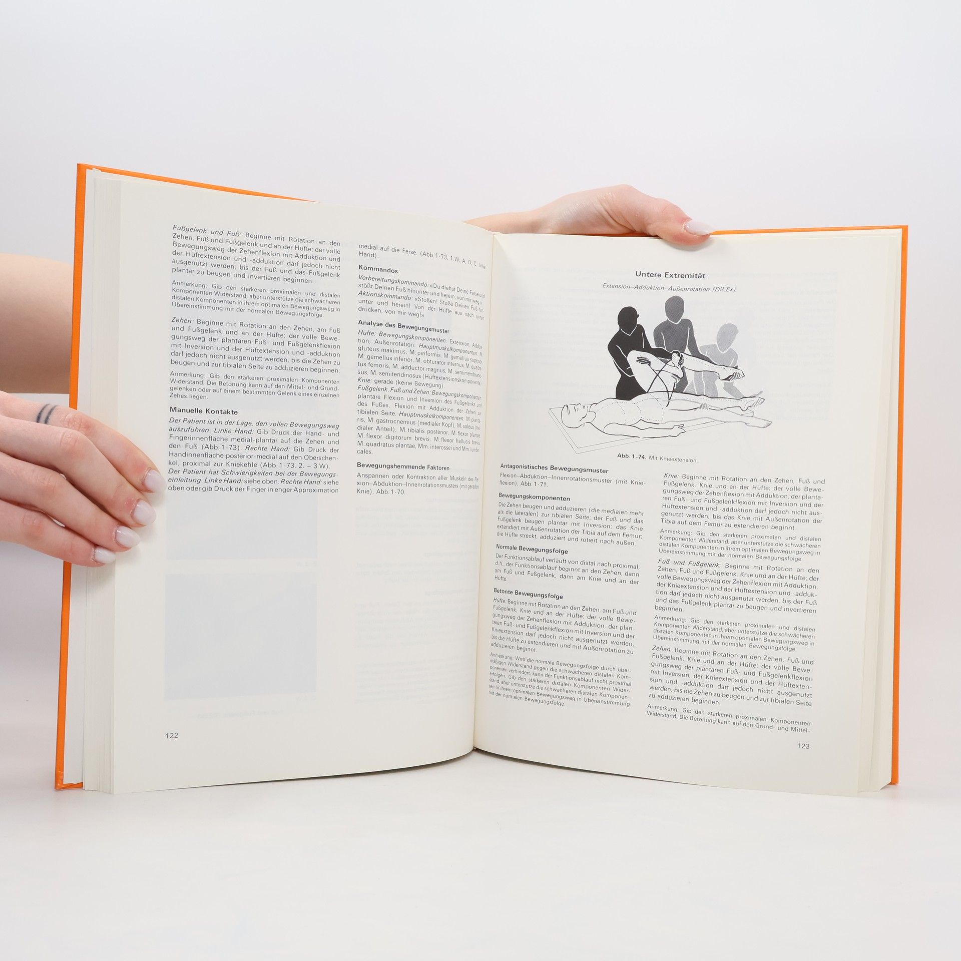 Dorothy E. Voss Propriozeptive neuromuskuläre Fazilitation