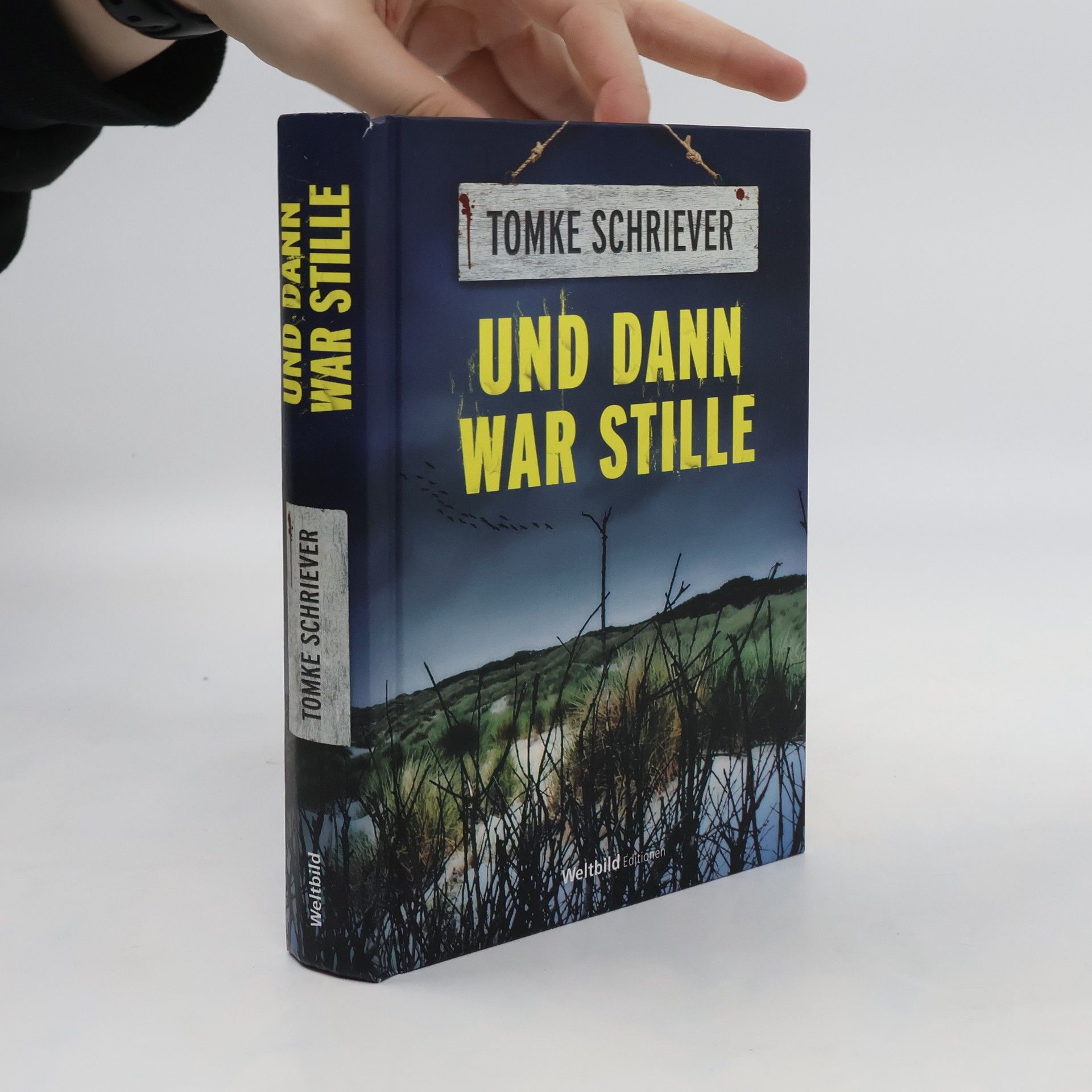 Tomke Schriever Und dann war Stille