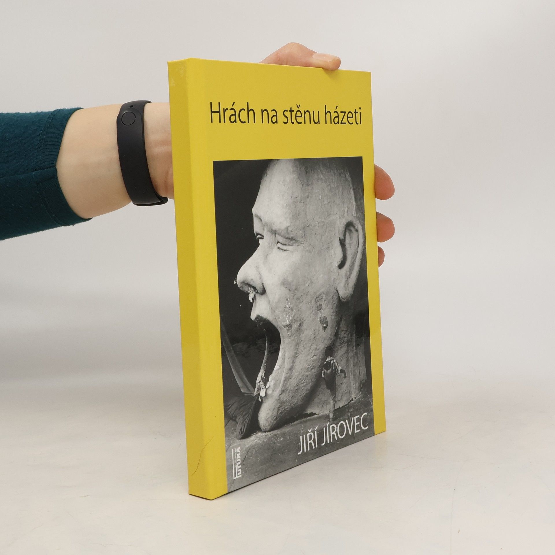 Hrách na stěnu házeti
