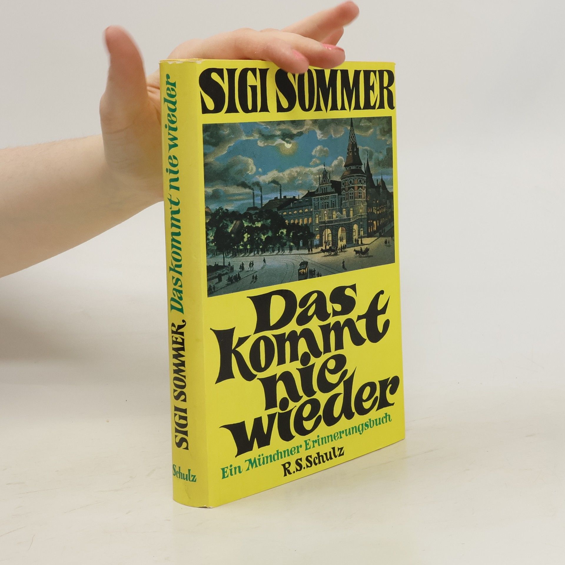 Siegfried Sommer Das kommt nie wieder