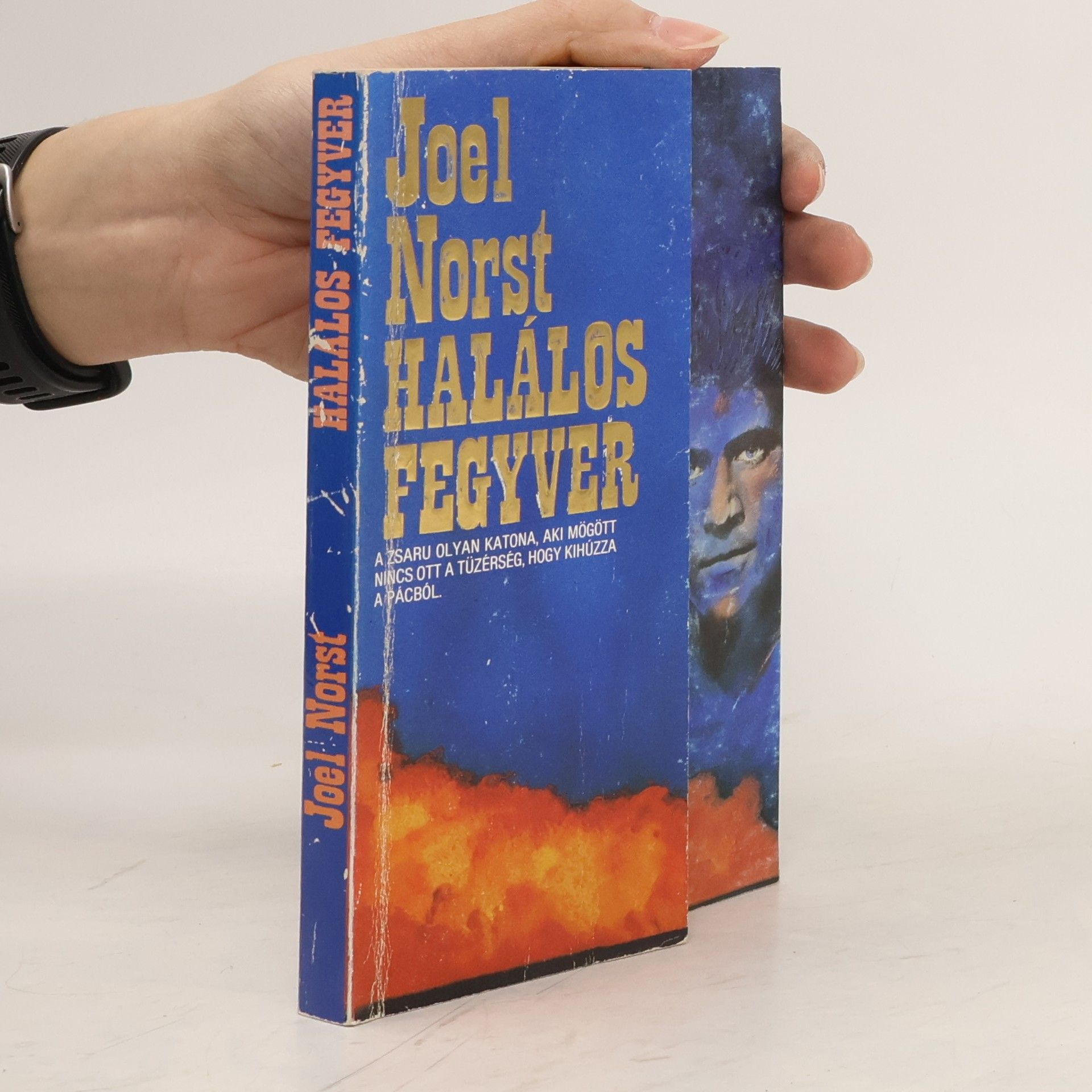 Joel Norst Halálos ​fegyver