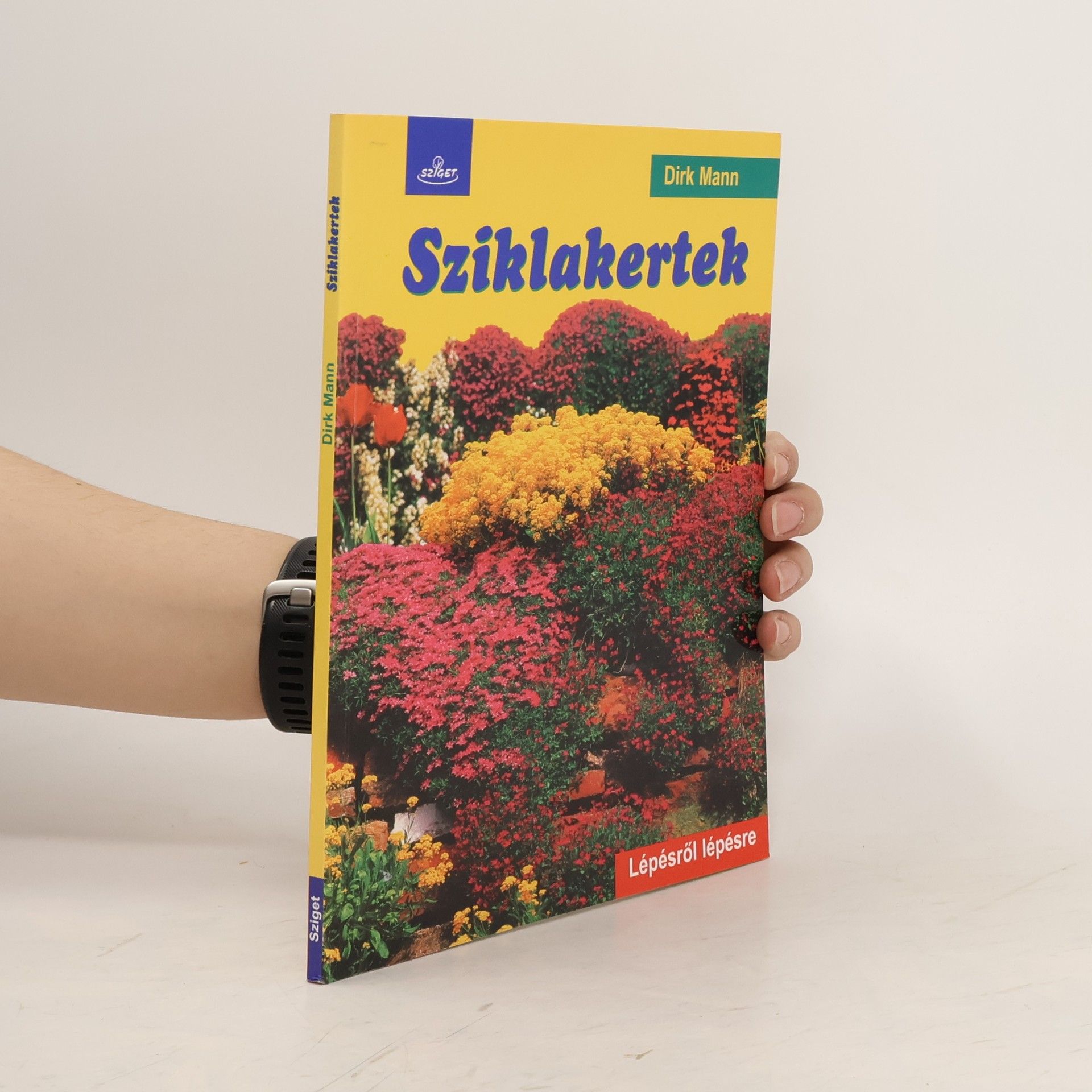 Dirk Mann Sziklakertek