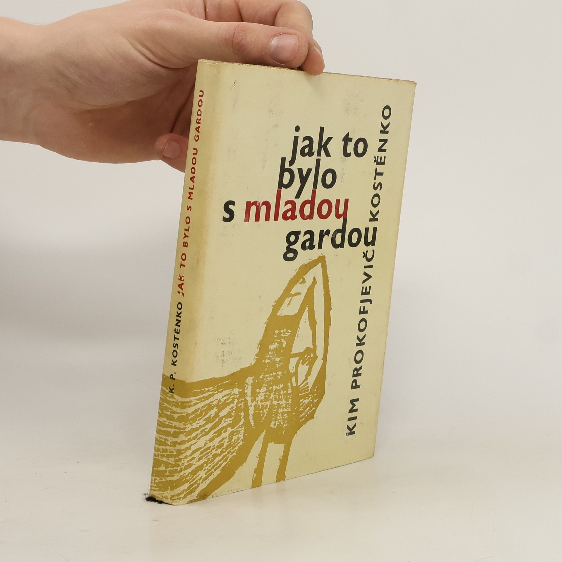 Kim Prokof‘jevič Kostenko Jak to bylo s mladou gardou