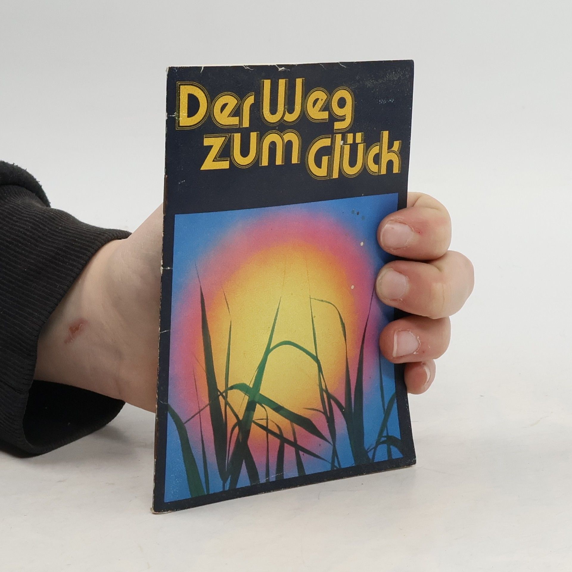 kolektiv Der Weg zum Glück