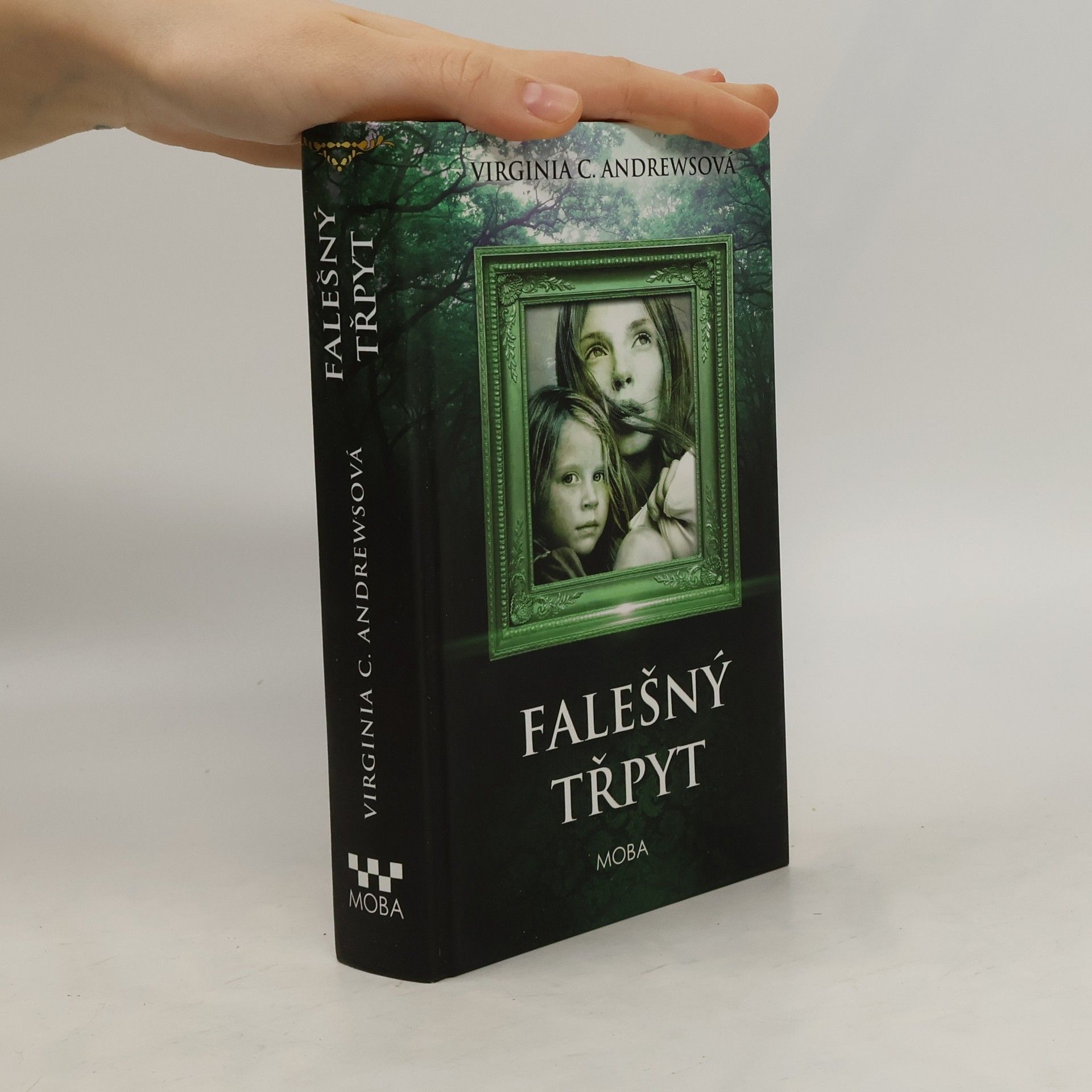 V. C. Andrews Falešný třpyt