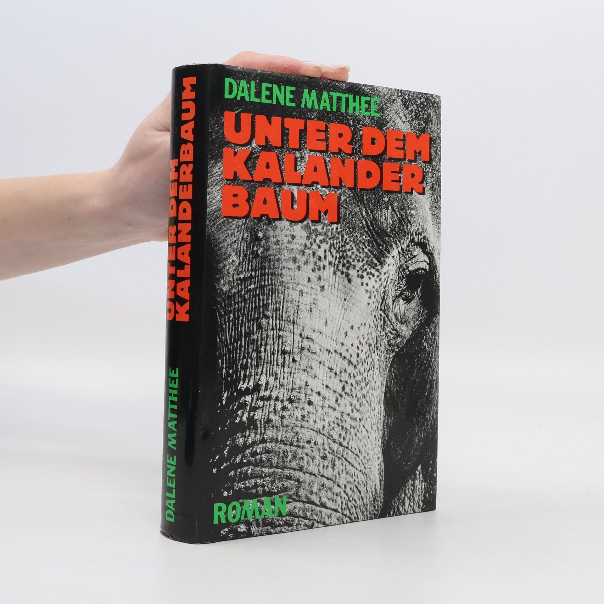 Dalene Mathee Unter dem Kalander Baum