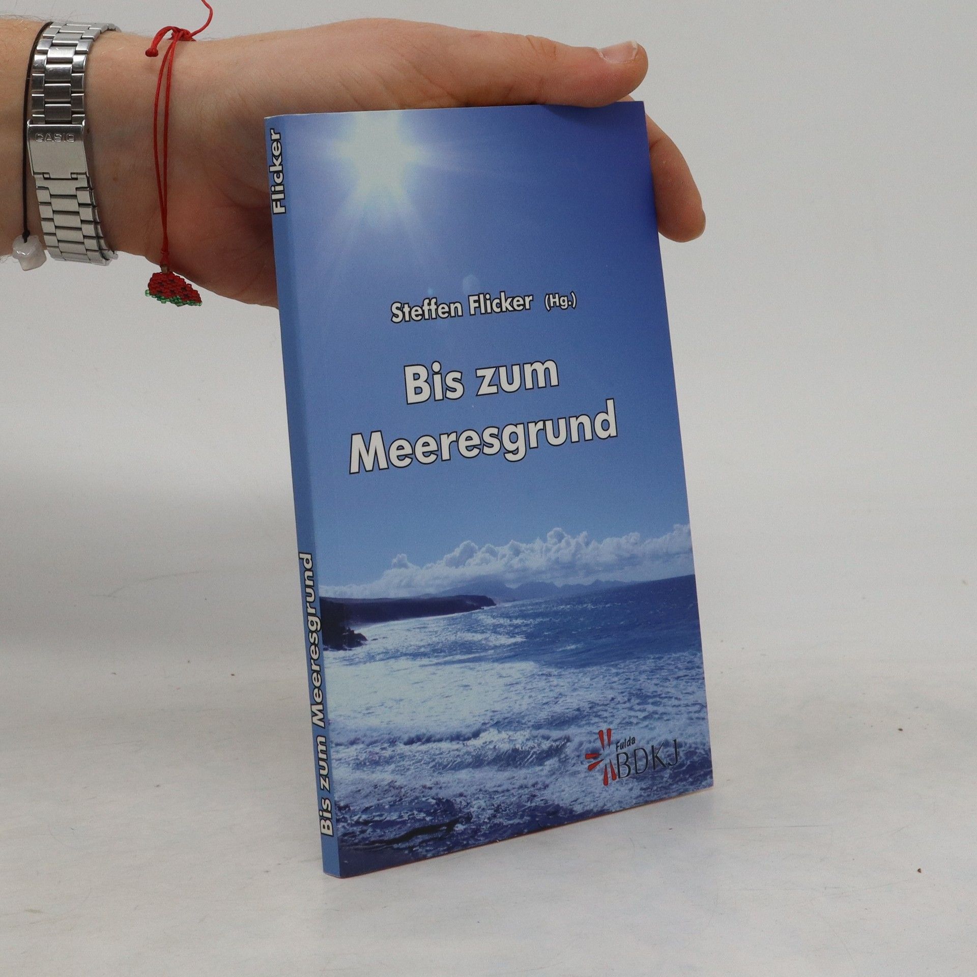 Steffen Flicker Bis zum Meeresgrund