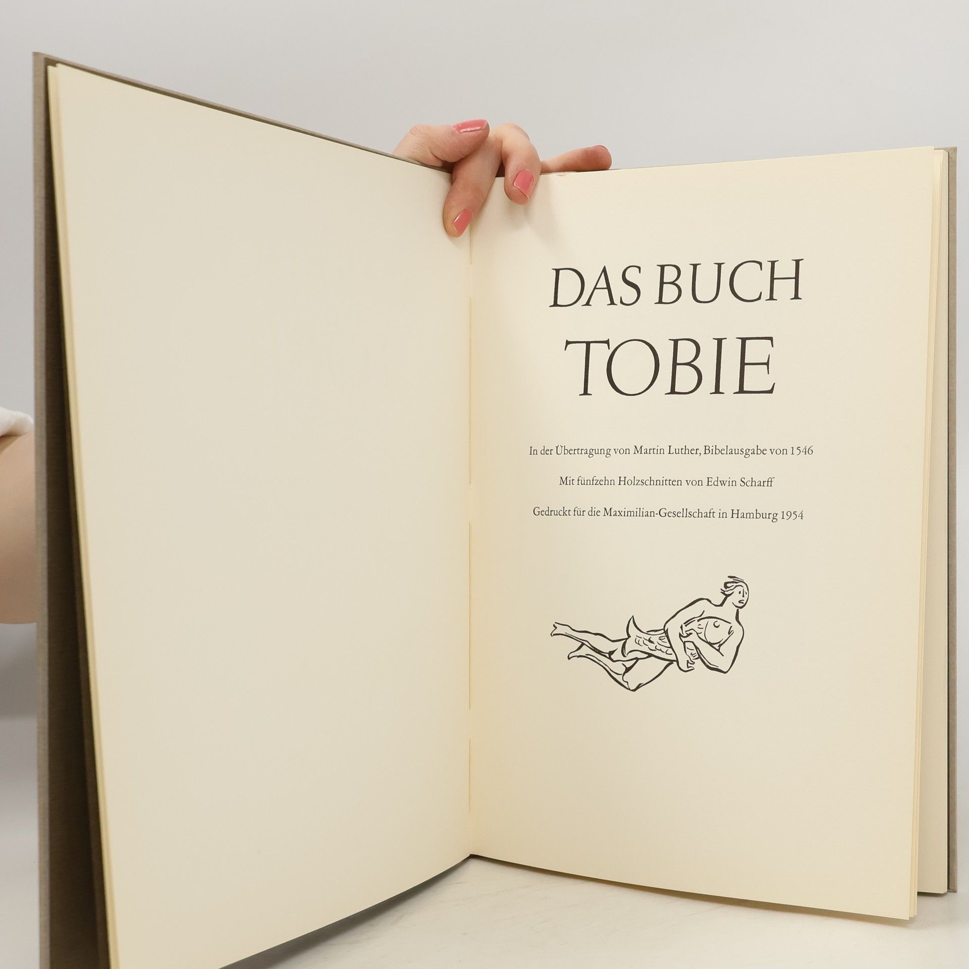 kolektiv Das Buch Tobie