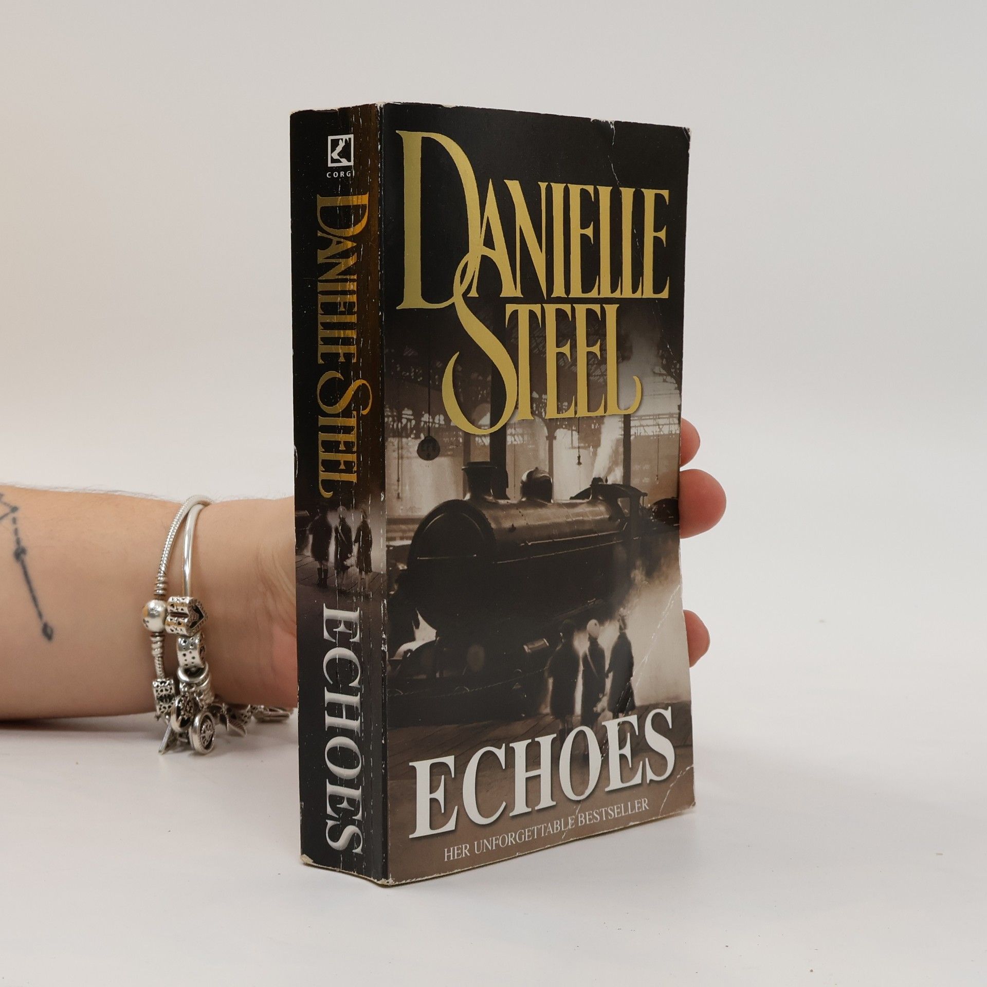 Danielle Steel Echoes