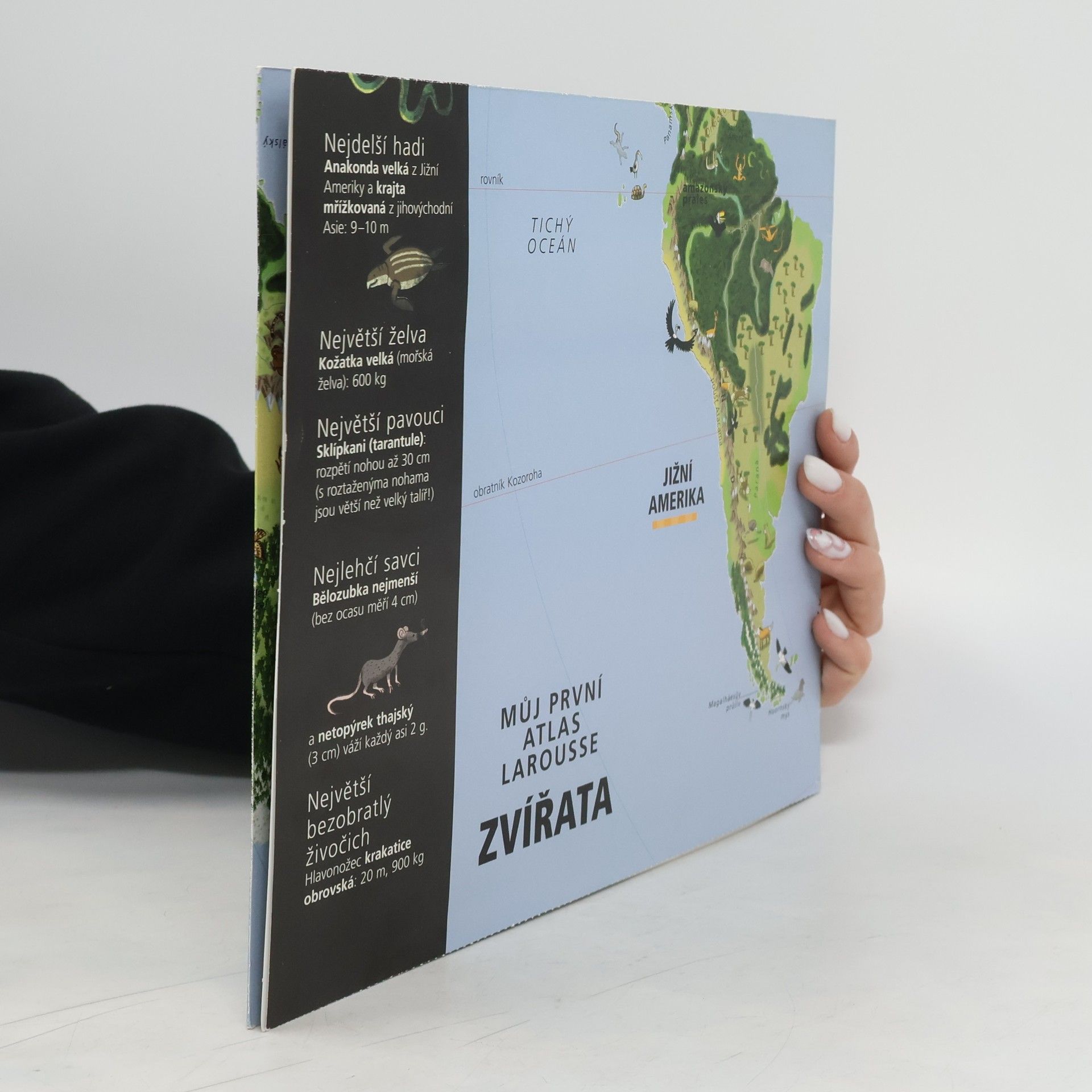 Kolektiv autorů Můj první atlas Larousse. Zvířata