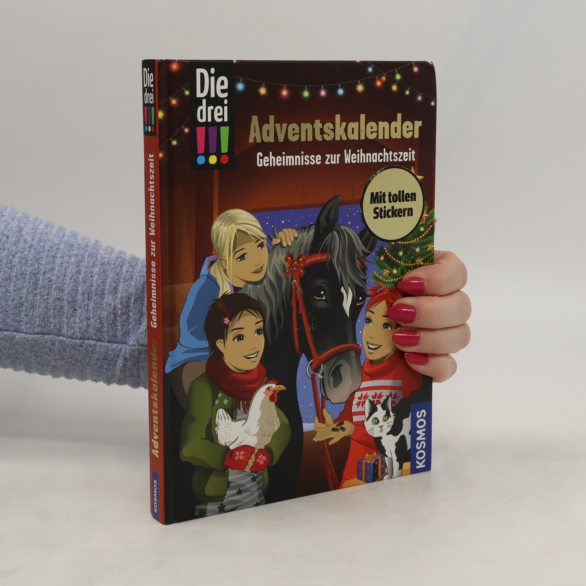 Maja von Vogel Die drei !!!, Geheimnisse zur Weihnachtszeit